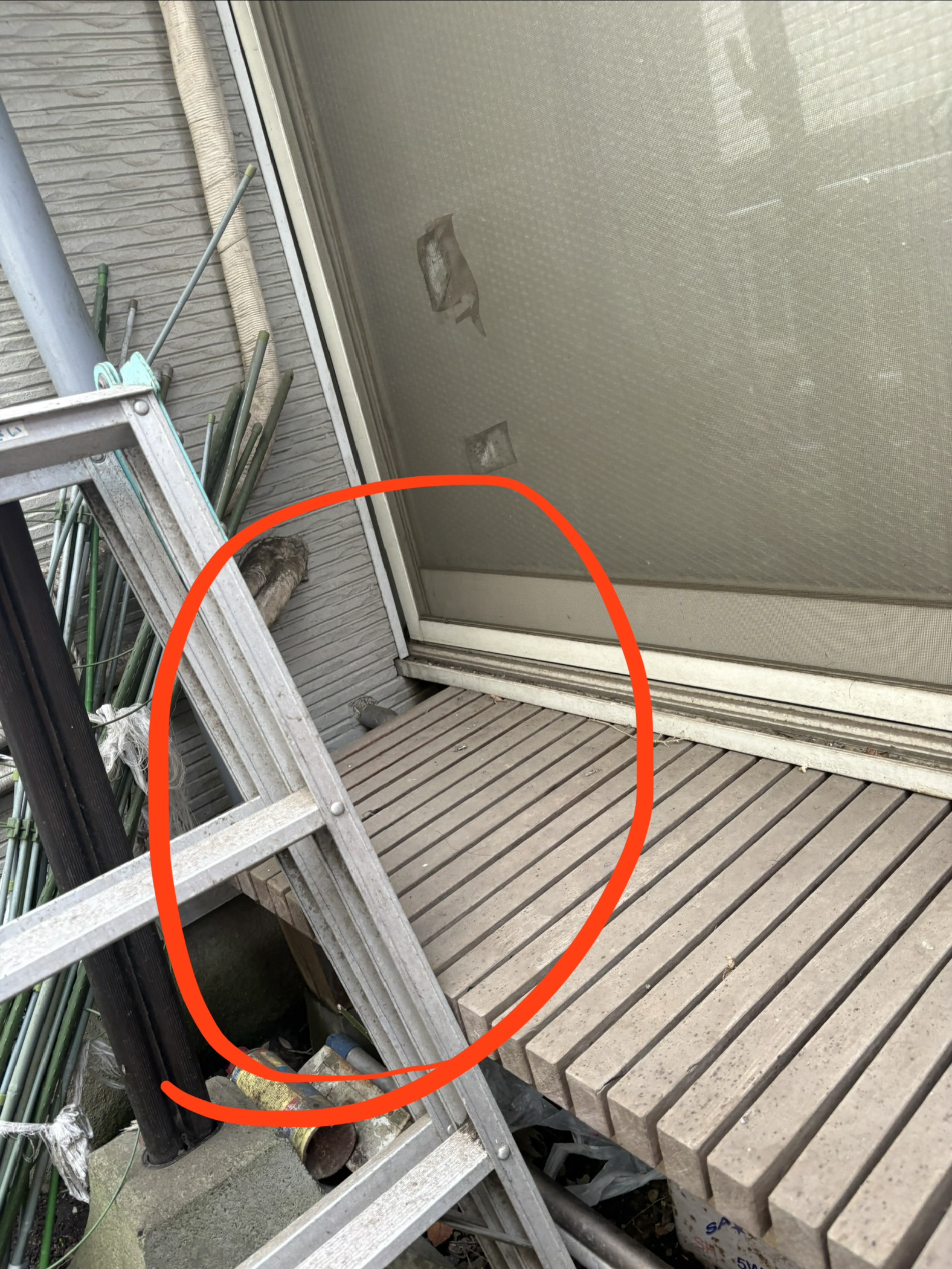 神奈川県相模原市ハクビシン駆除現場の写真5