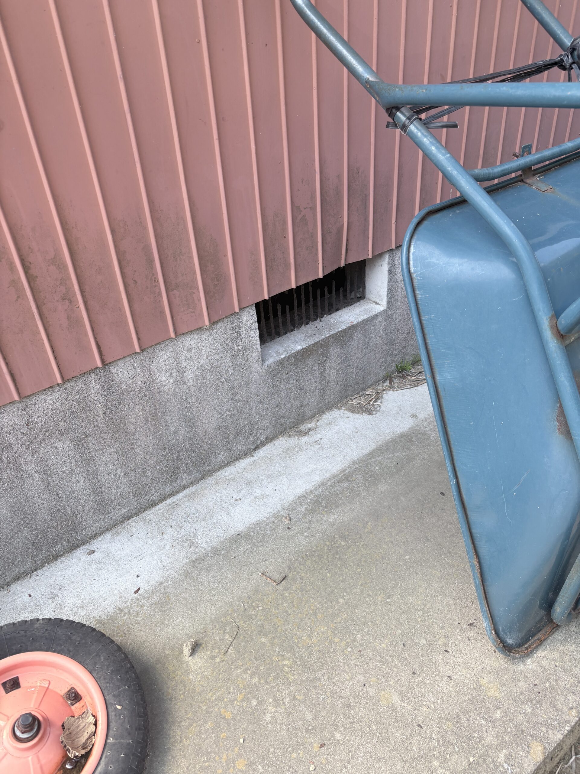 千葉県山武郡中型害獣駆除現場の写真49