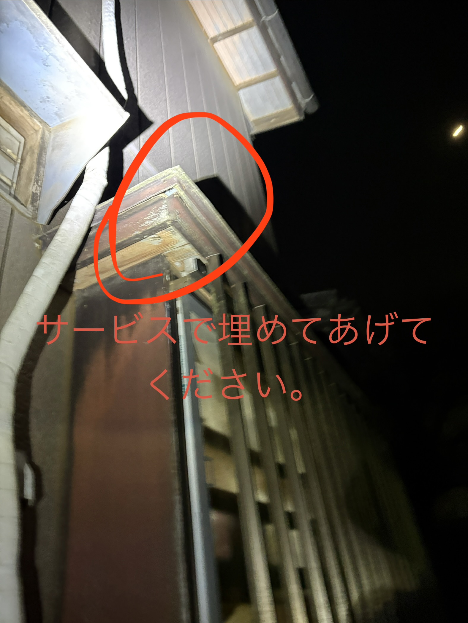 千葉県山武市ネズミ駆除現場の写真42