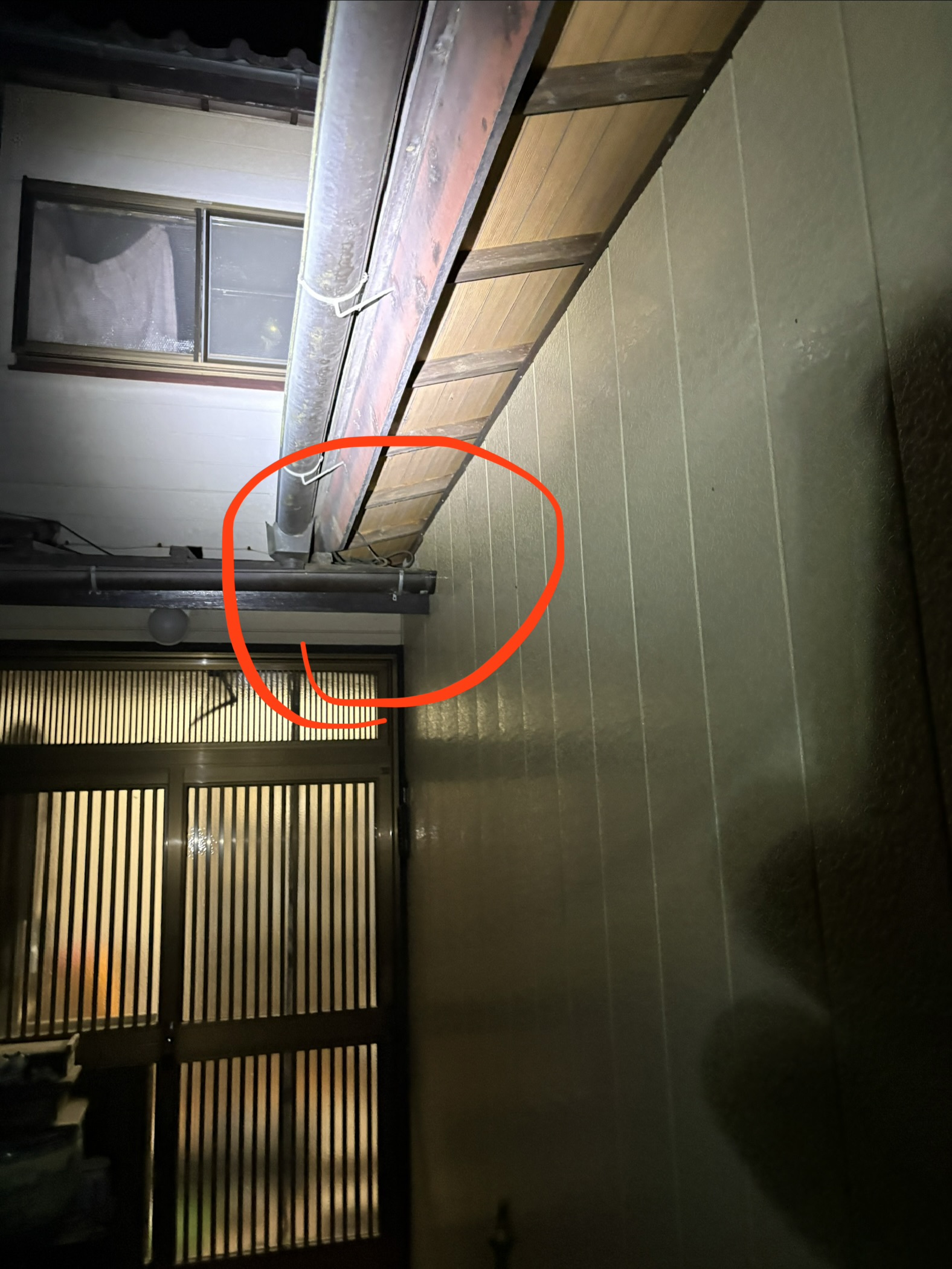 千葉県山武市ネズミ駆除現場の写真41