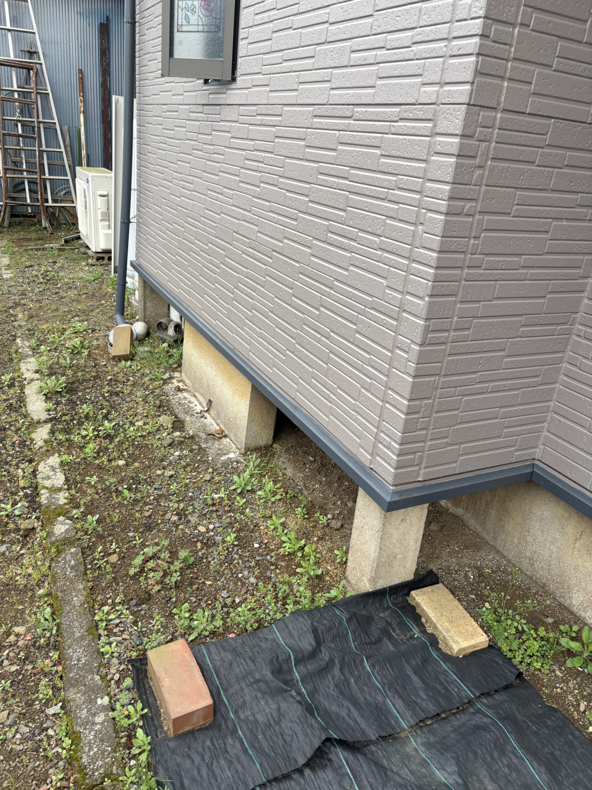 埼玉県所沢市ネズミ駆除現場の写真25