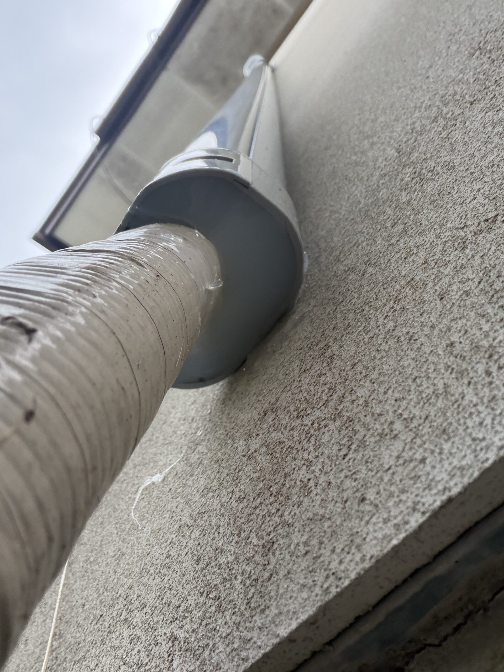 滋賀県大津市害獣駆除現場の写真30