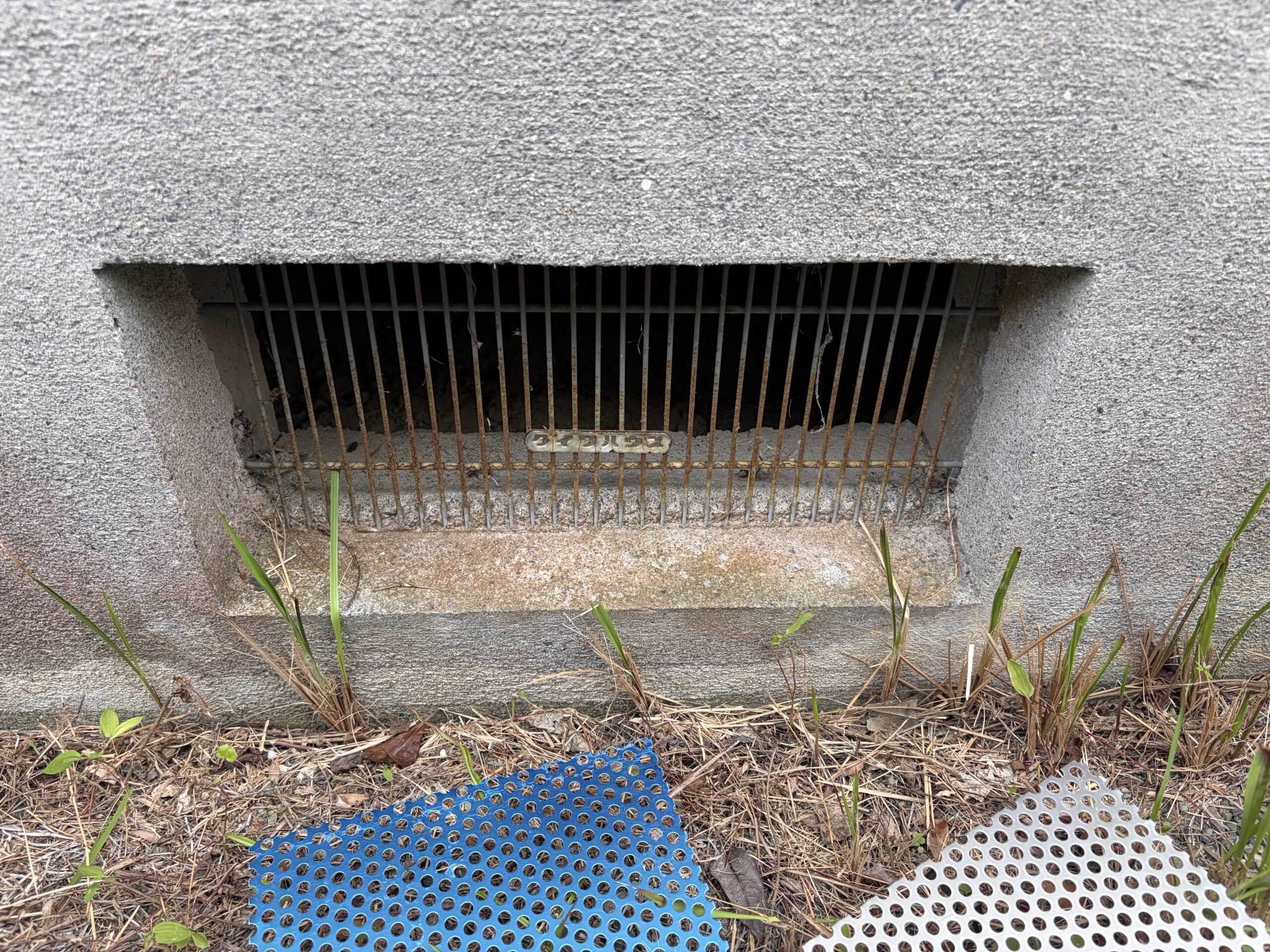 滋賀県大津市害獣駆除現場の写真23