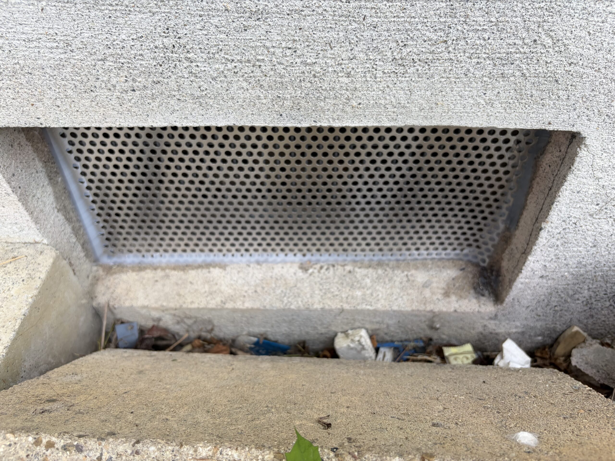 滋賀県大津市害獣駆除現場の写真18