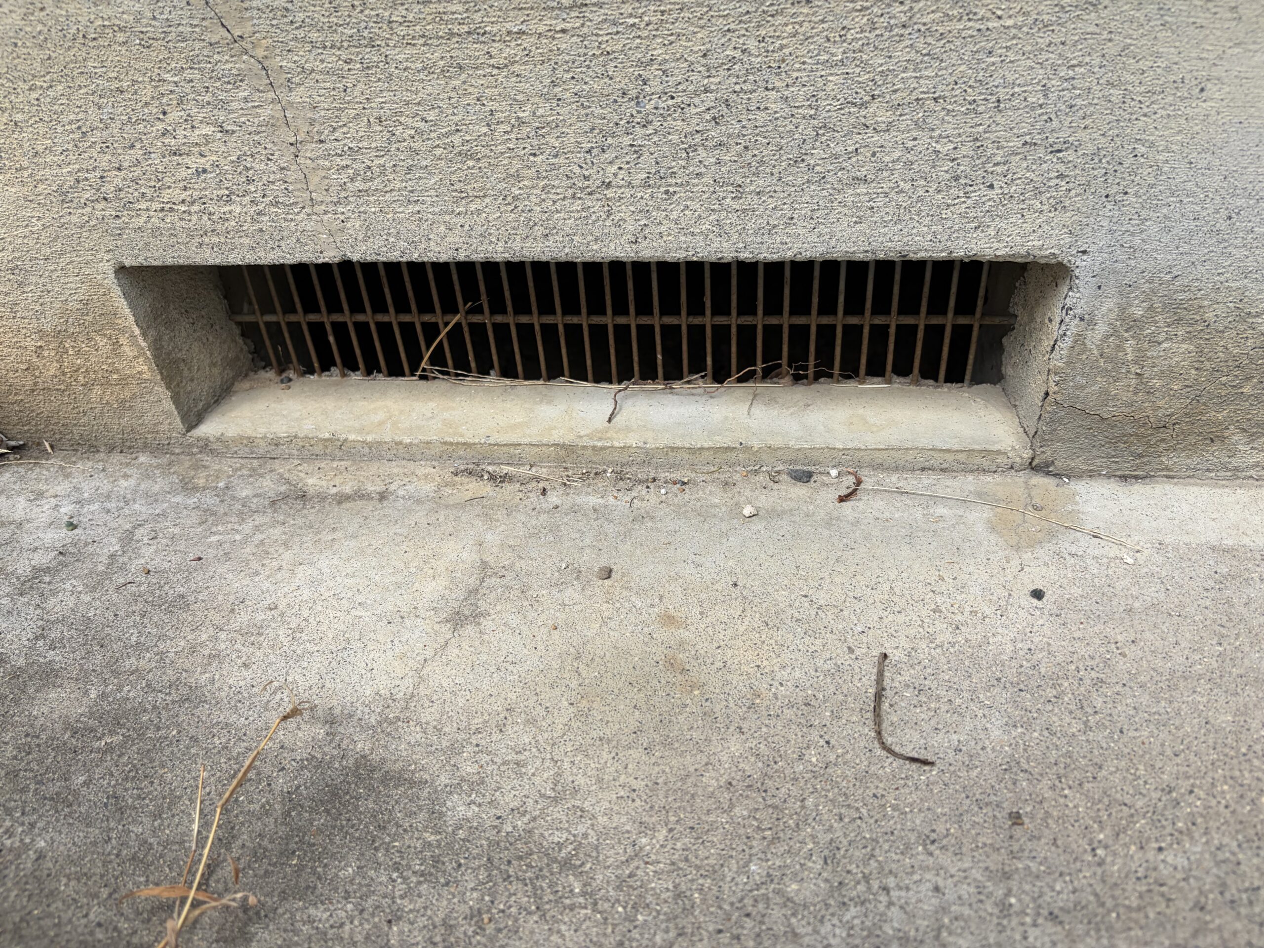 滋賀県大津市害獣駆除現場の写真27