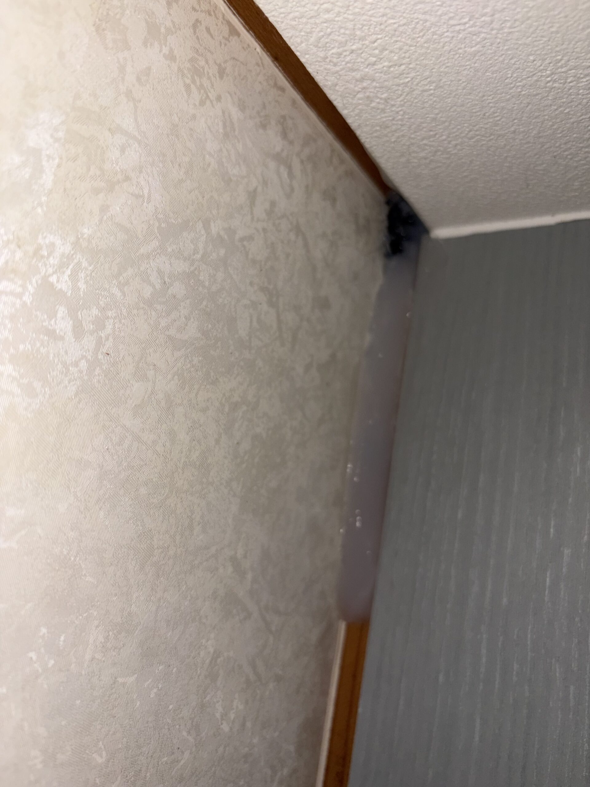 滋賀県大津市害獣駆除現場の写真43