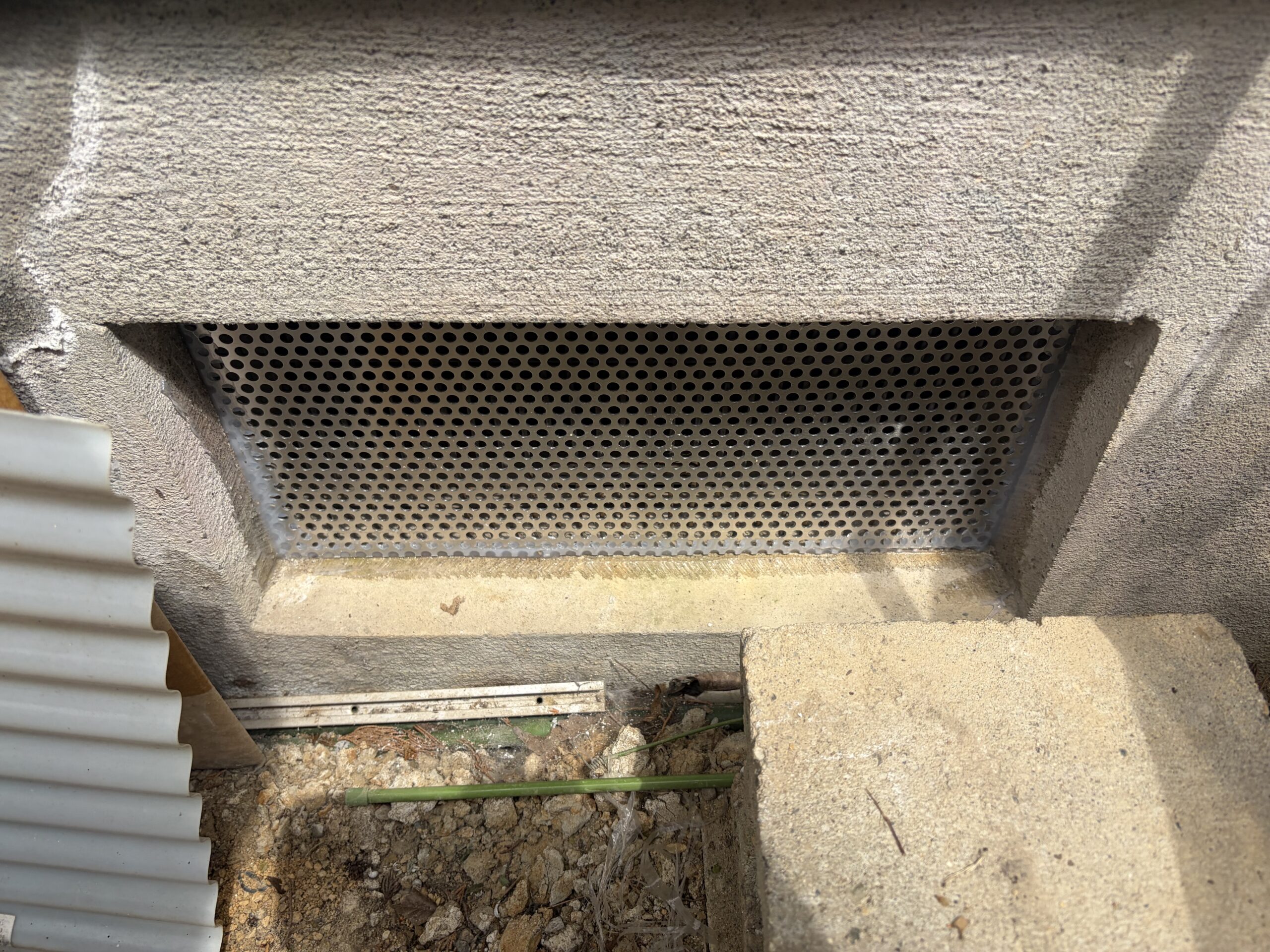 滋賀県大津市害獣駆除現場の写真15
