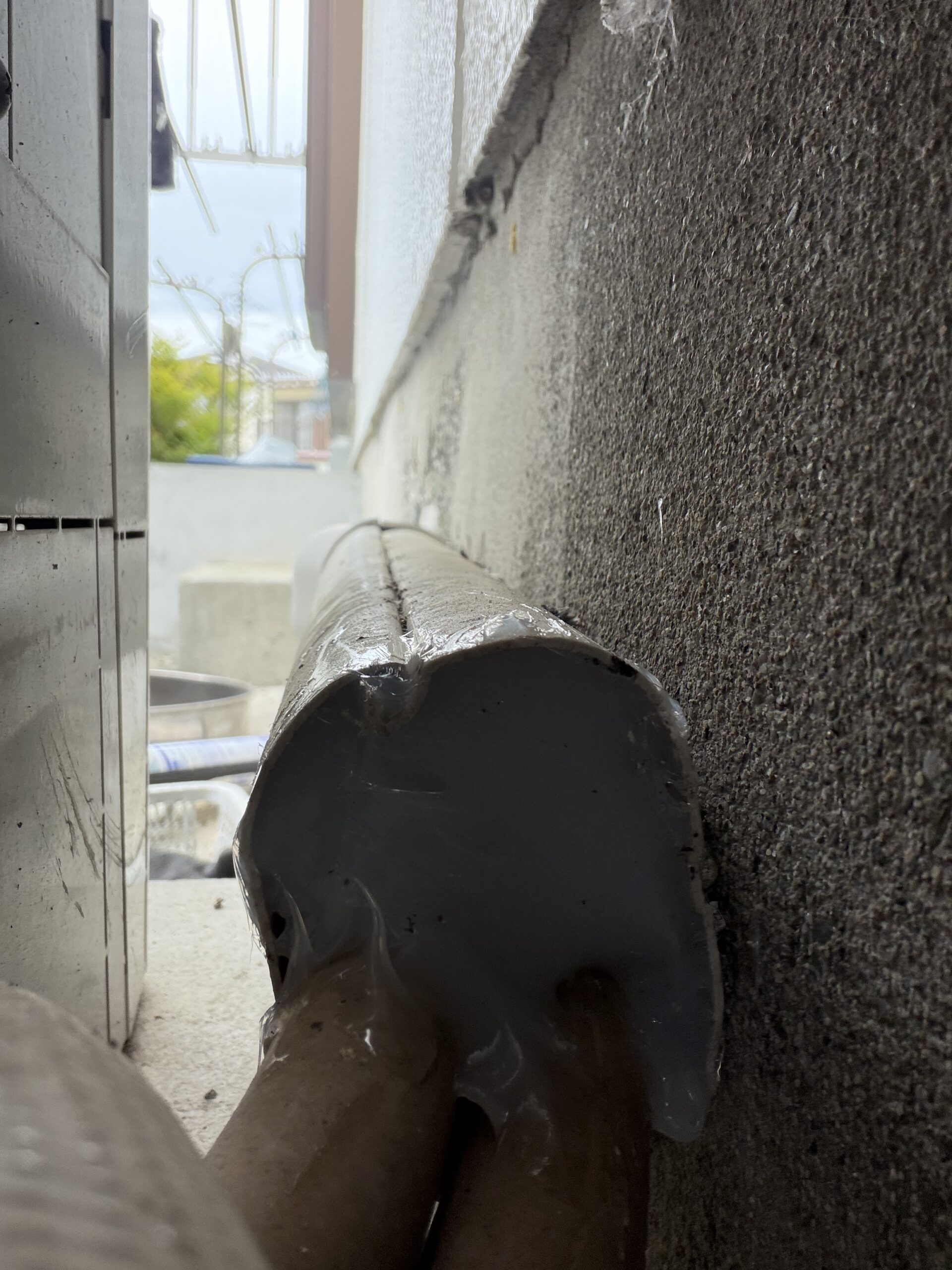 徳島県徳島市害獣駆除現場の写真9