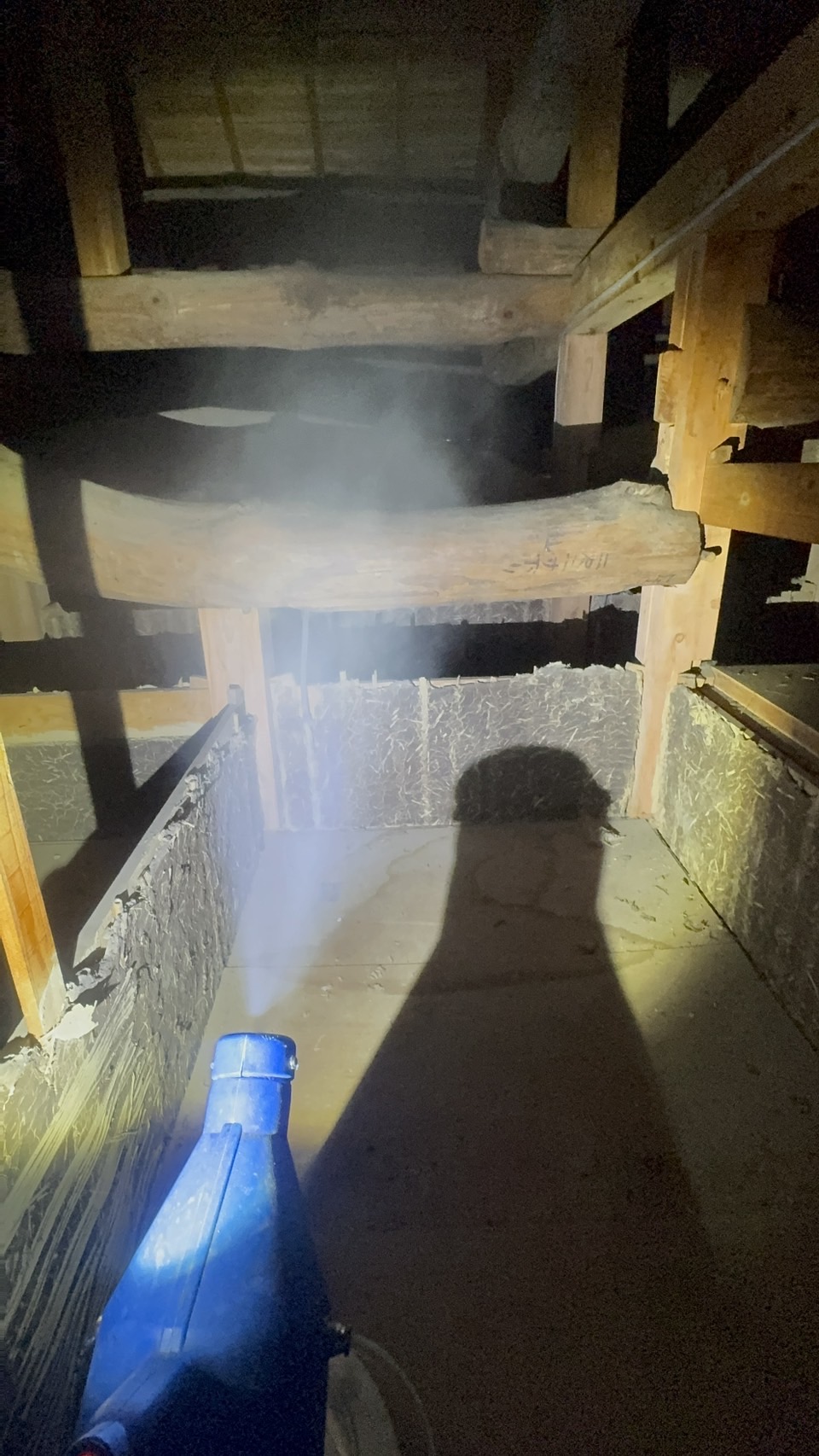 千葉県山武郡中型害獣駆除現場の写真28