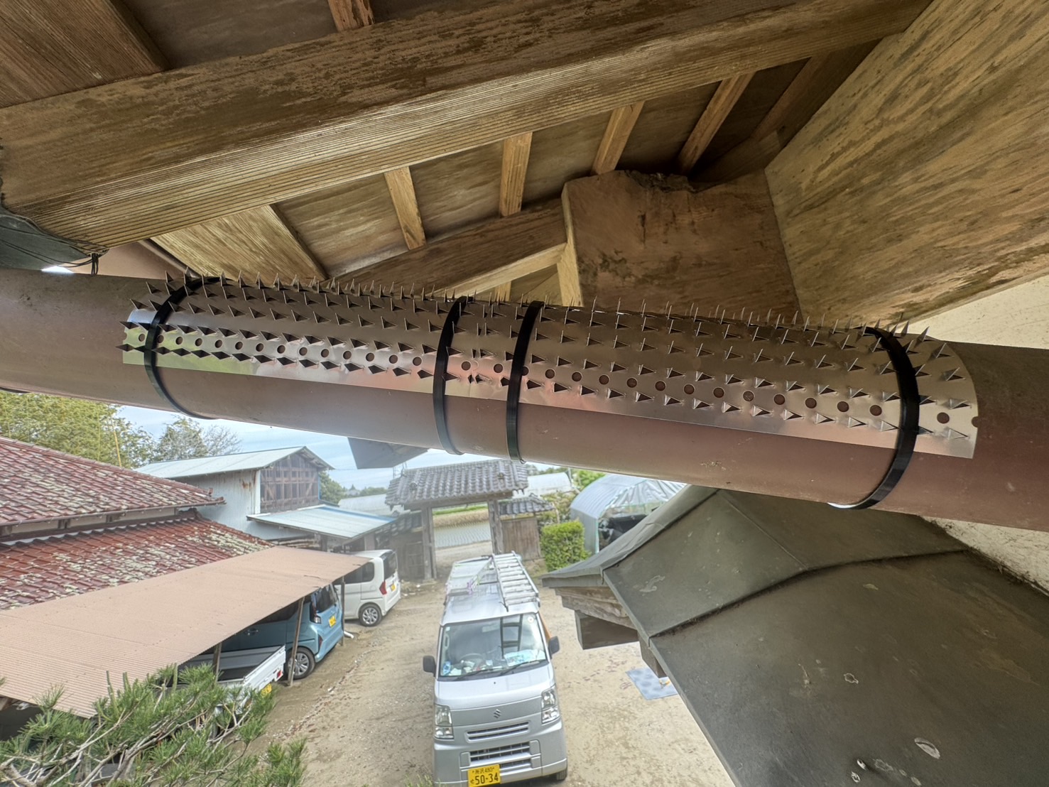 千葉県山武郡中型害獣駆除現場の写真18
