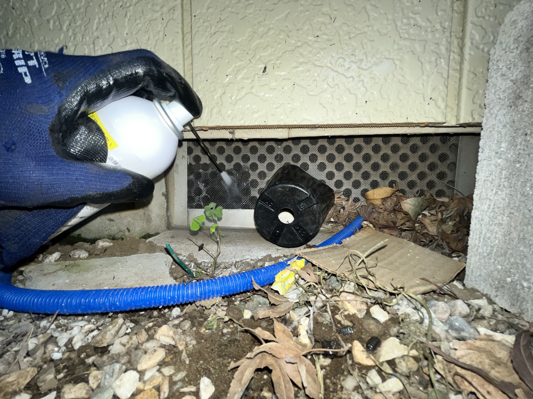 千葉県山武市ネズミ駆除現場の写真19