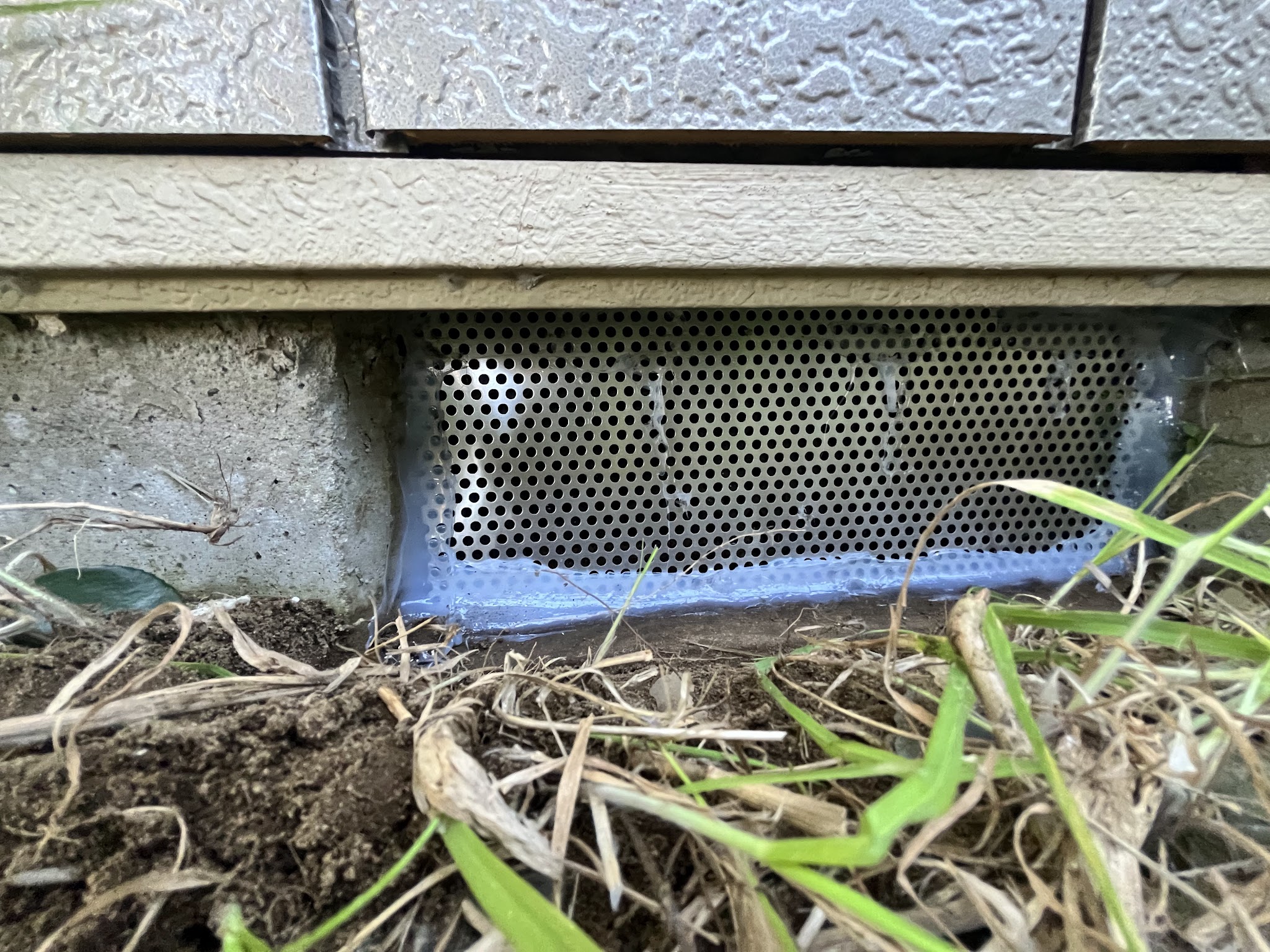 千葉県山武市ネズミ駆除現場の写真22