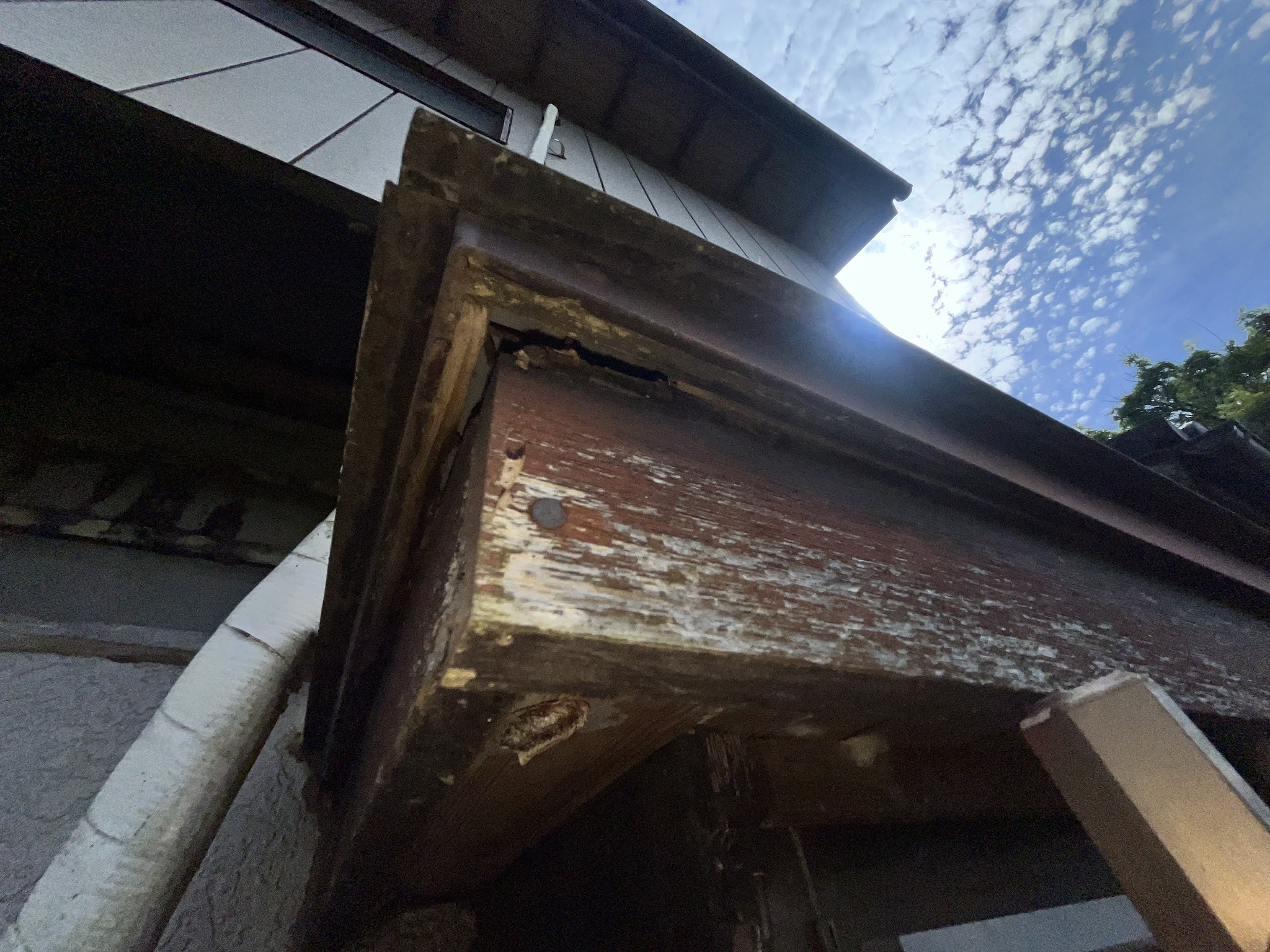 千葉県山武市ネズミ駆除現場の写真15