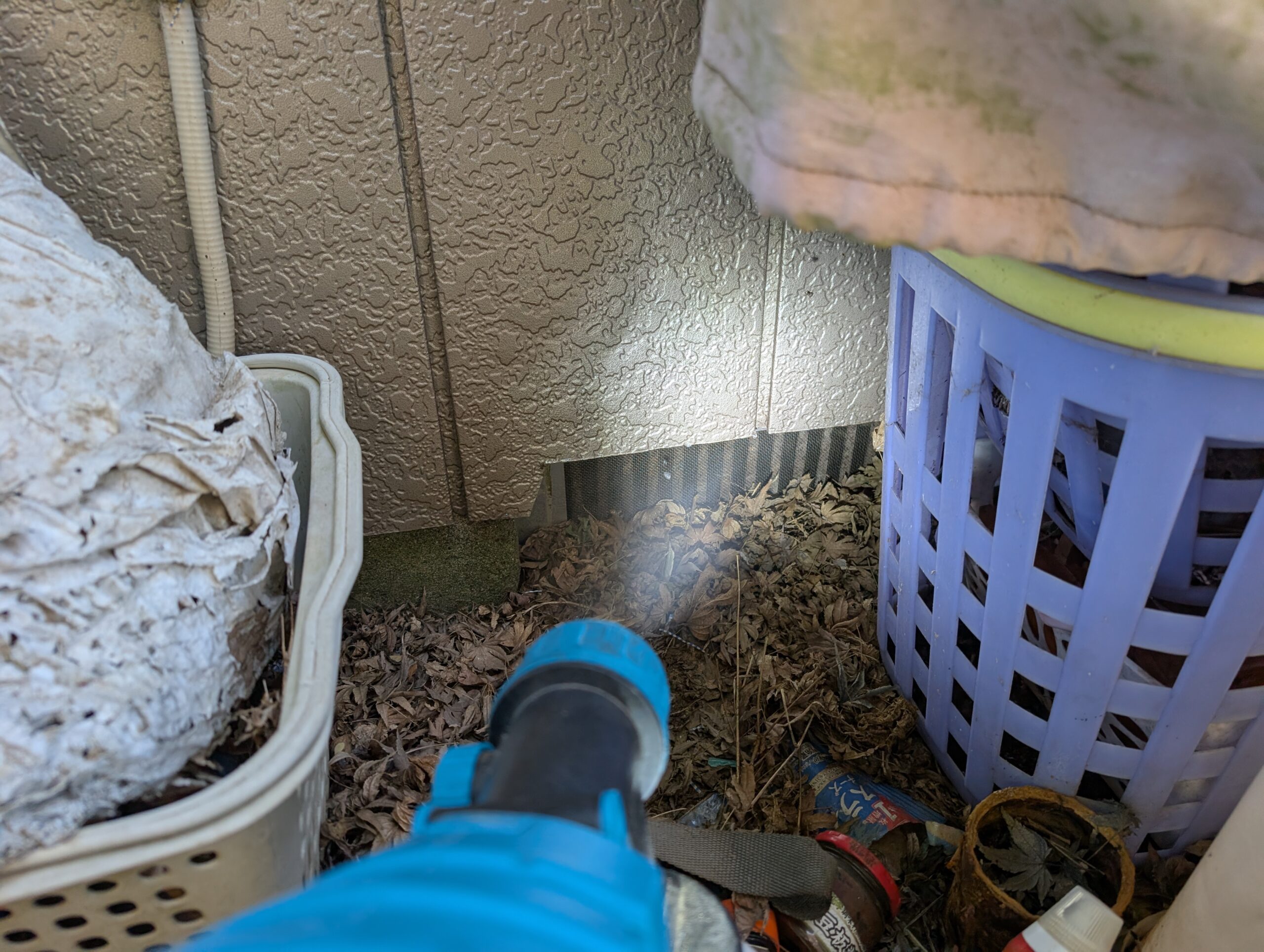 千葉県山武市ネズミ駆除現場の写真8