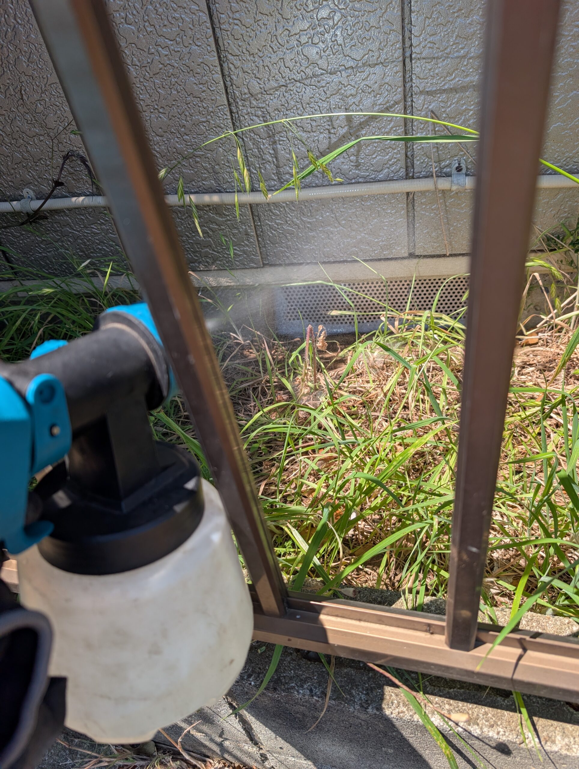 千葉県山武市ネズミ駆除現場の写真10