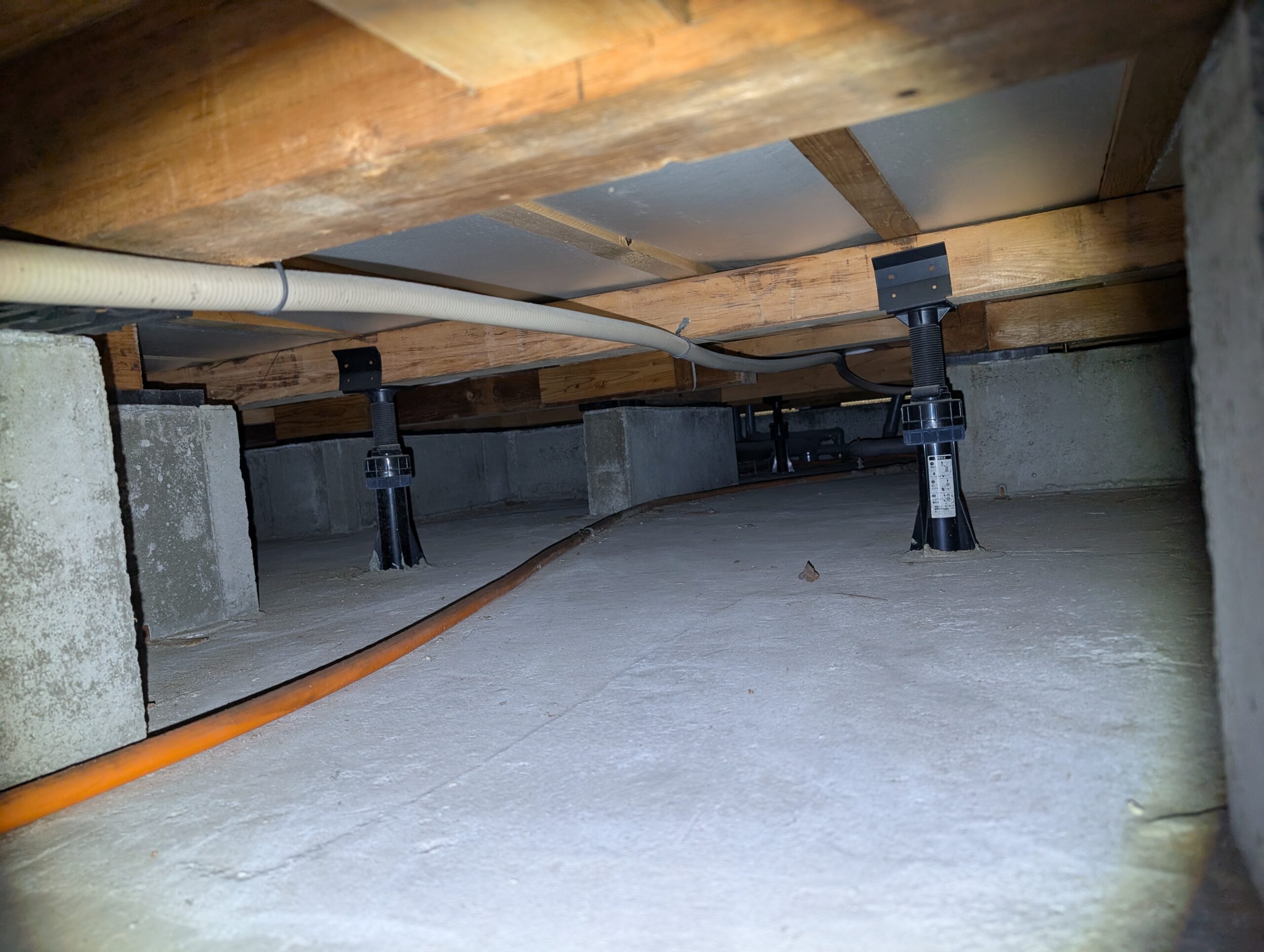 神奈川県相模原市ネズミ駆除現場の写真22