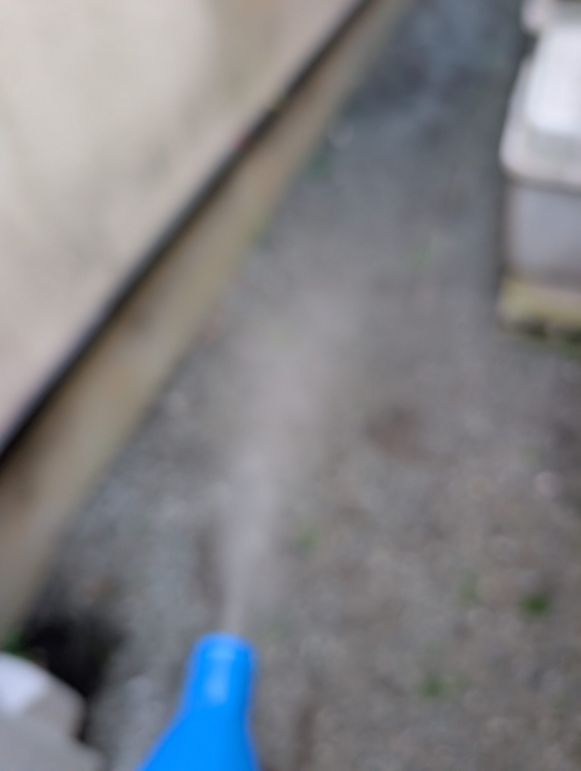 神奈川県相模原市ネズミ駆除現場の写真1