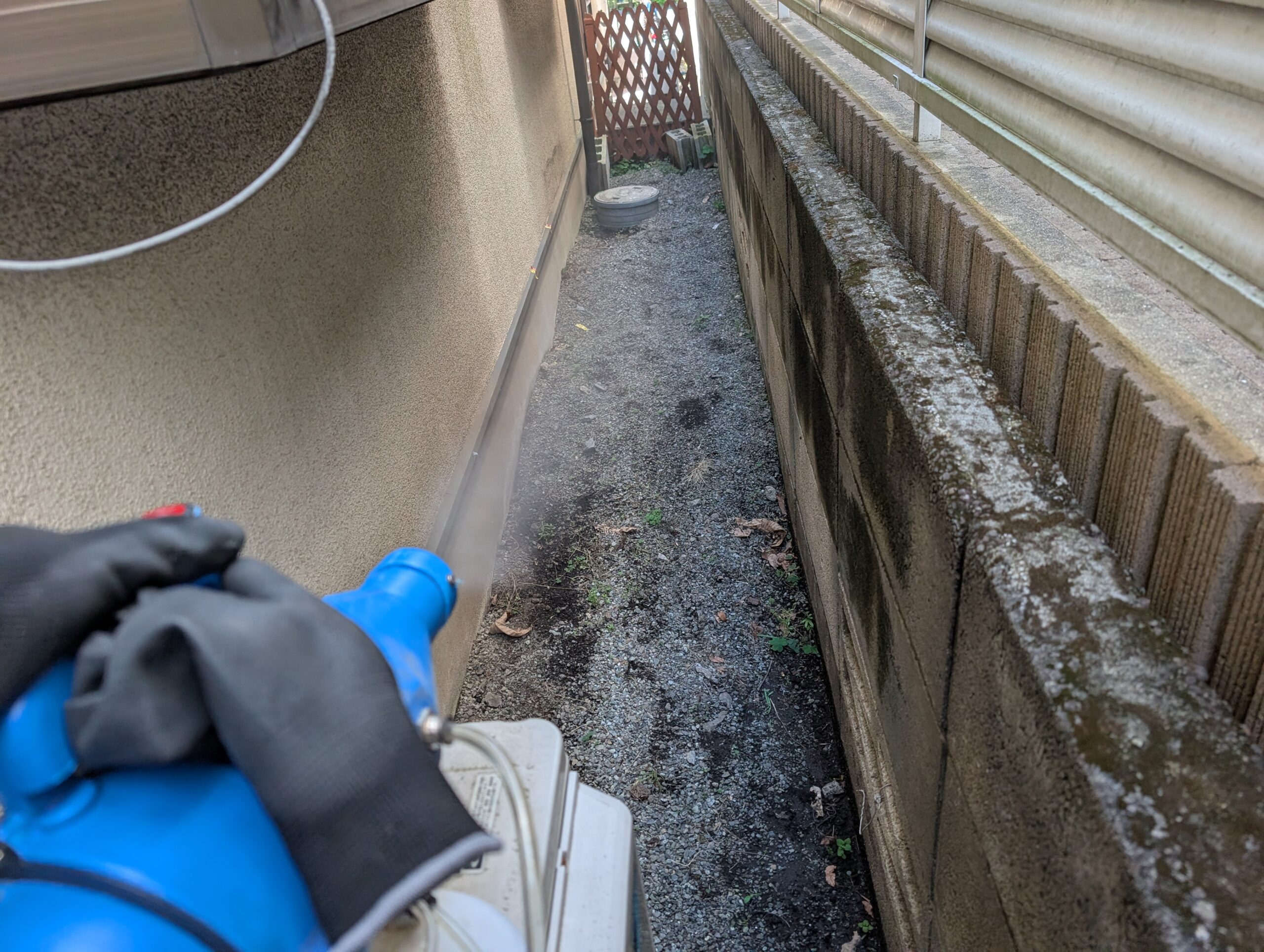 神奈川県相模原市ネズミ駆除現場の写真5