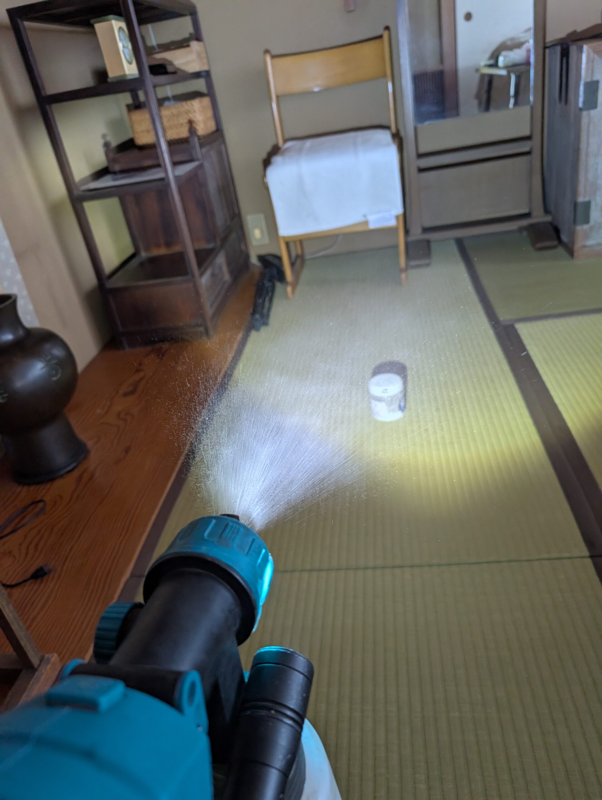 神奈川県横浜市ネズミ駆除現場の写真13
