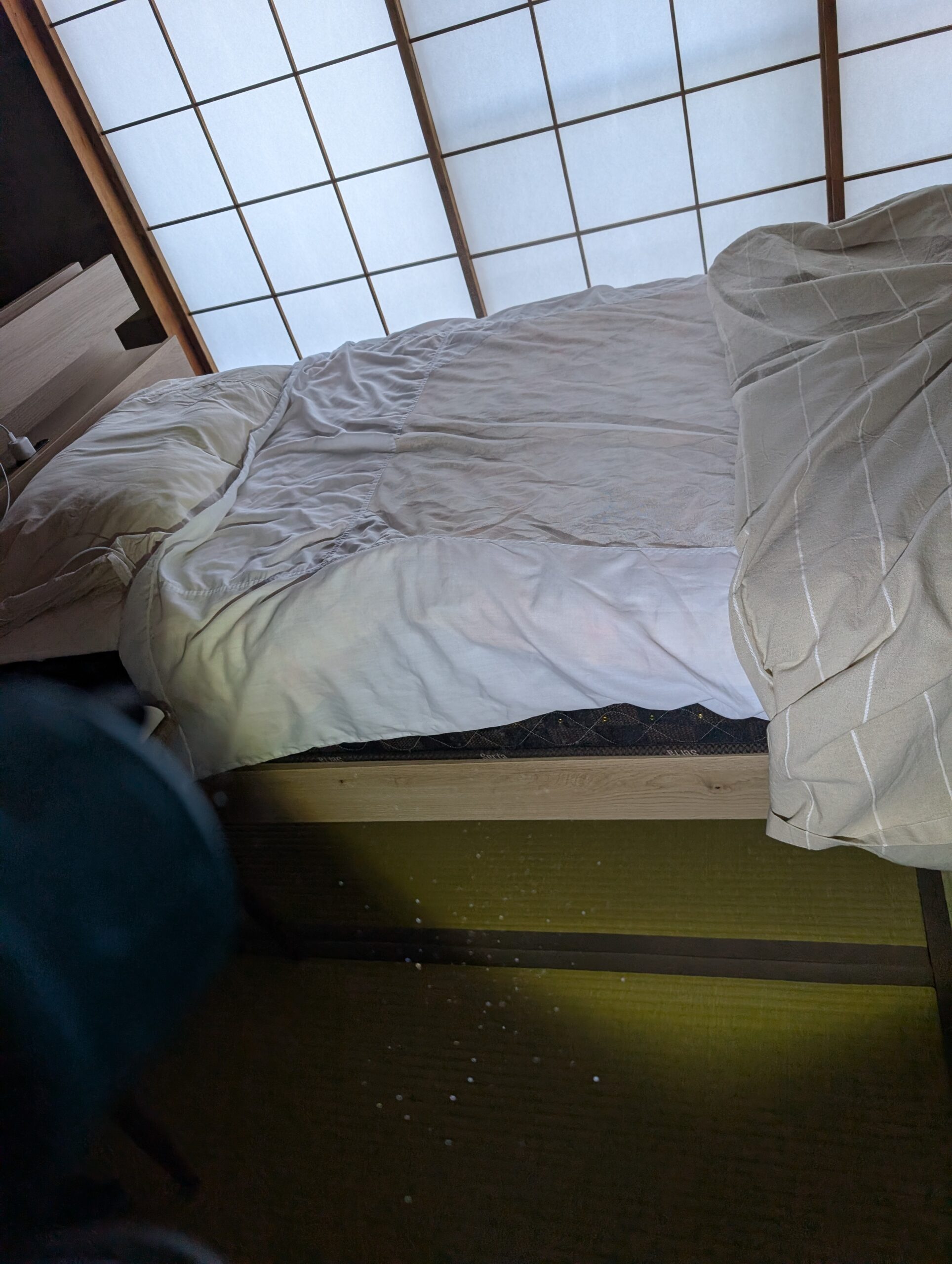 神奈川県横浜市ネズミ駆除現場の写真3