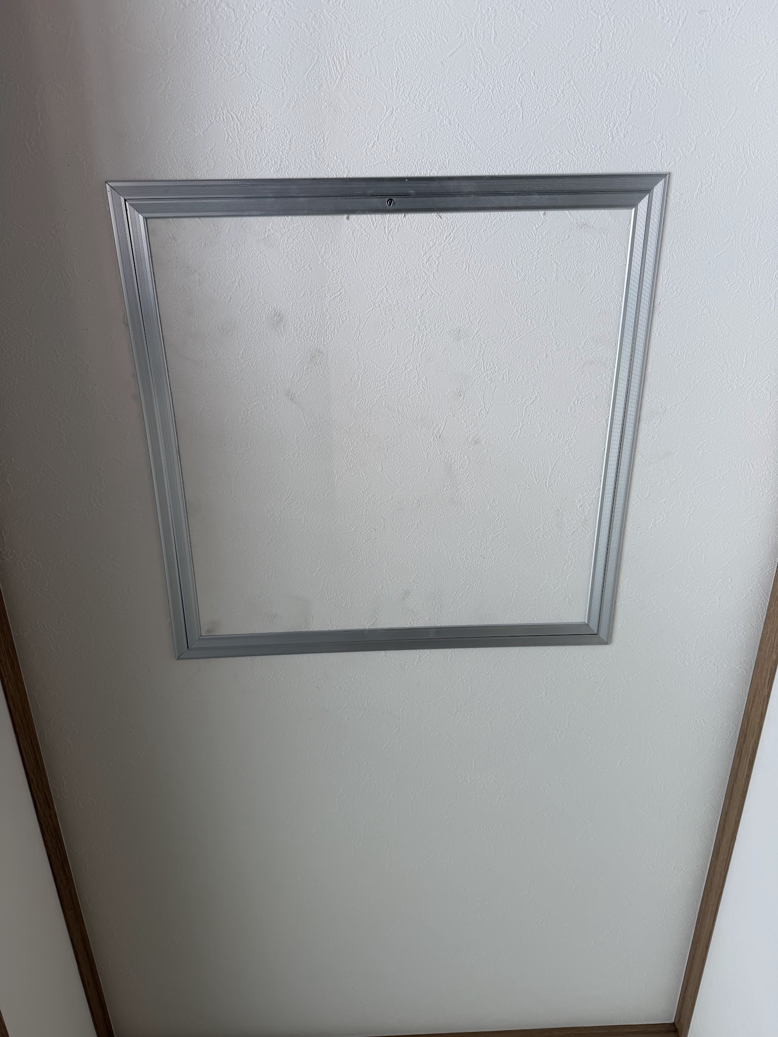 大阪府大阪市ネズミ駆除現場の写真1