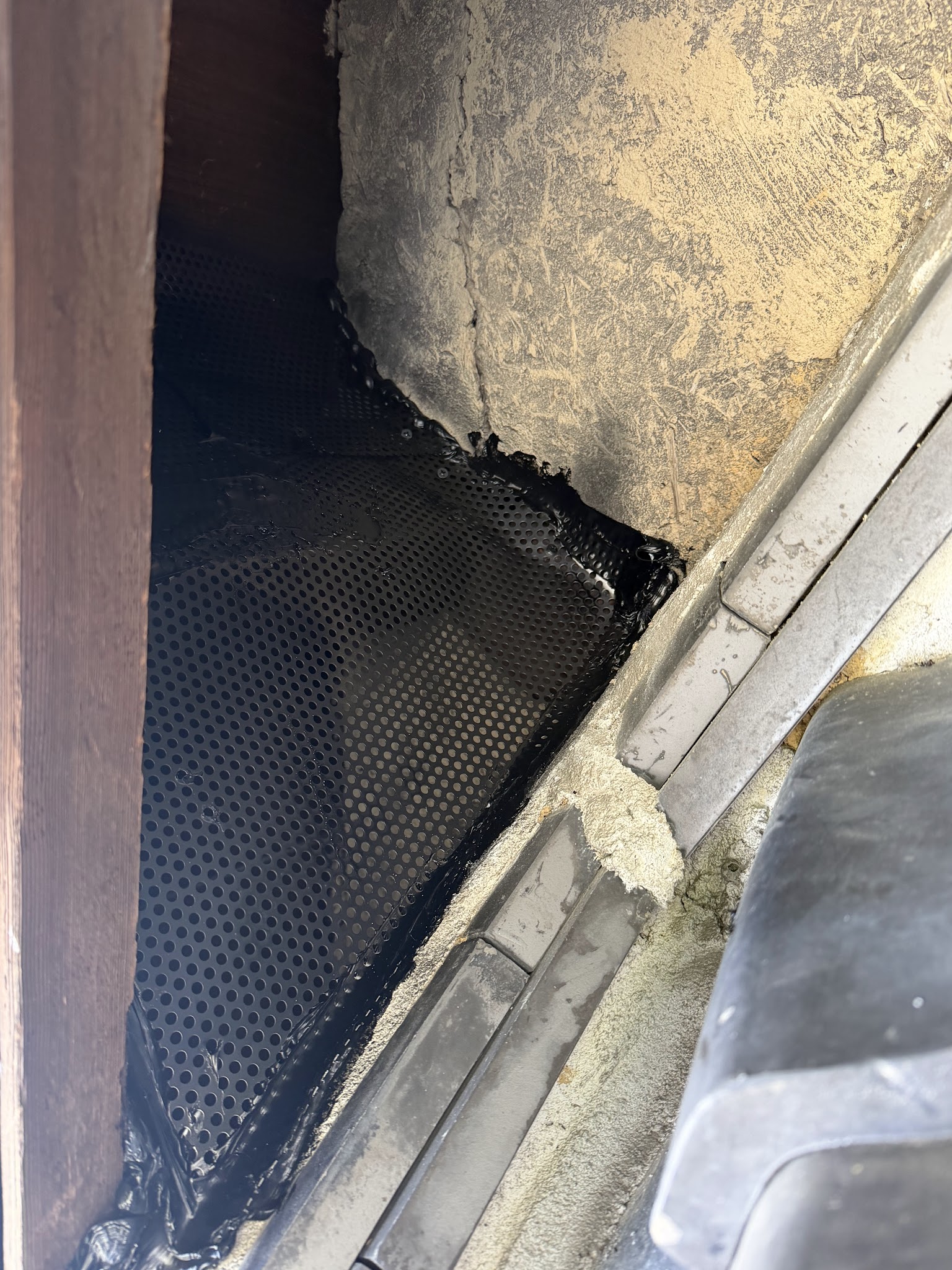 奈良県生駒郡アライグマ駆除現場の写真29