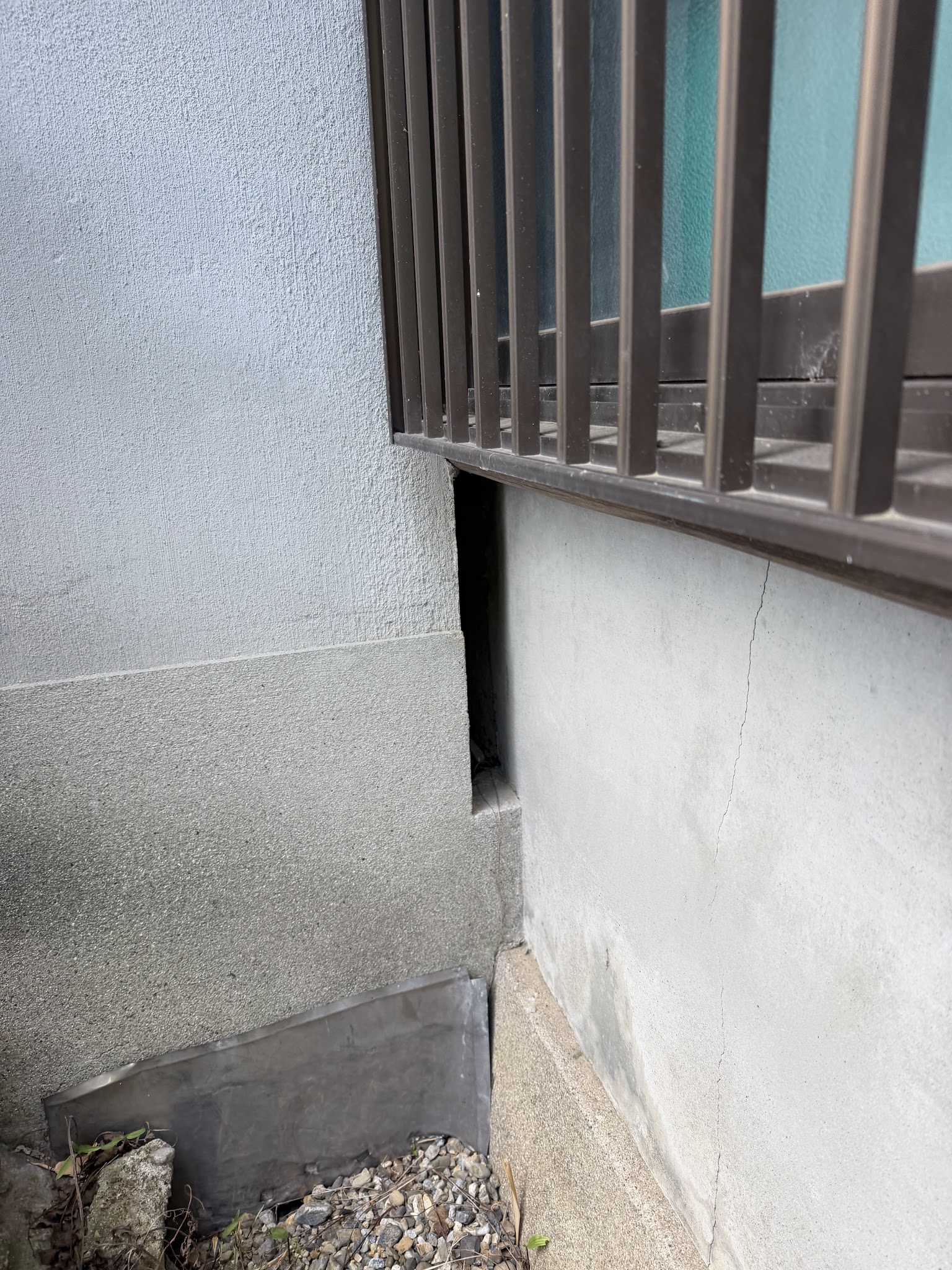 奈良県生駒郡アライグマ駆除現場の写真24