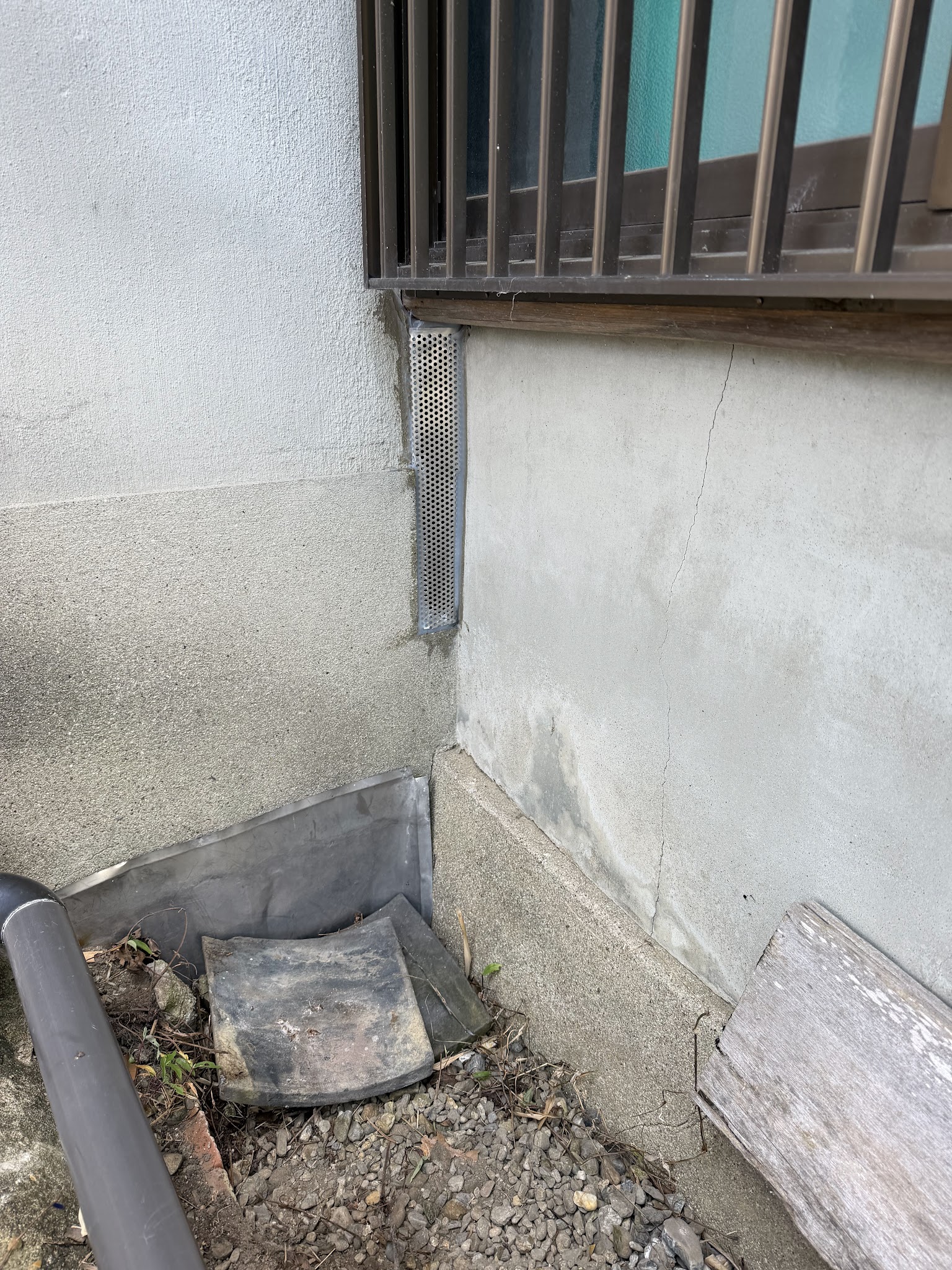 奈良県生駒郡アライグマ駆除現場の写真7