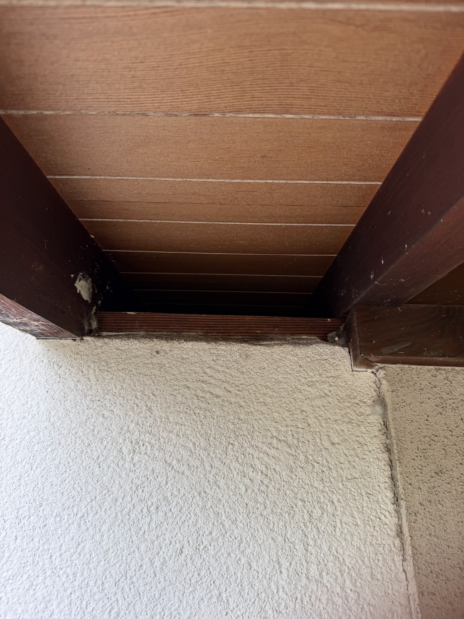 奈良県生駒郡アライグマ駆除現場の写真38