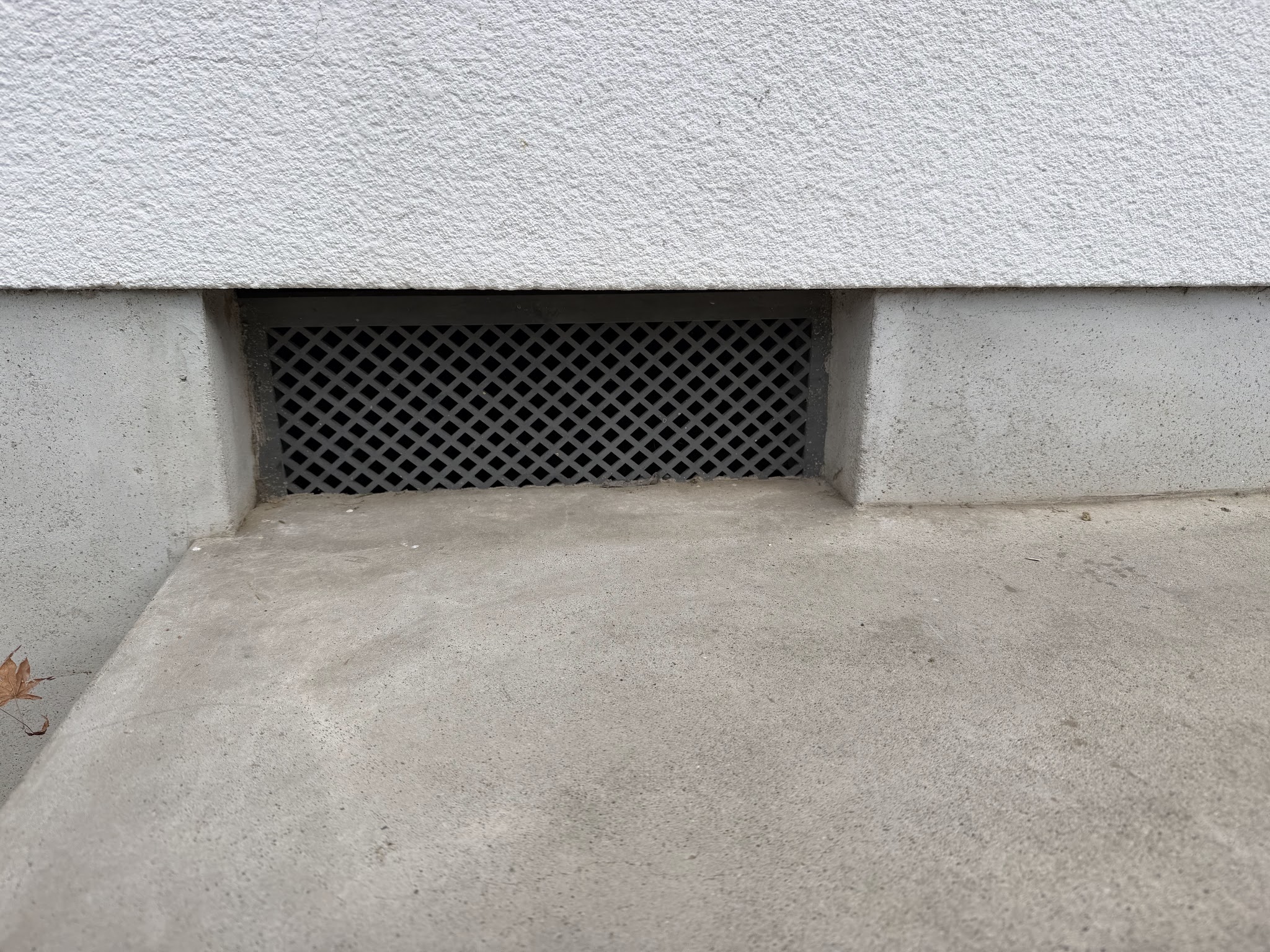 奈良県生駒郡アライグマ駆除現場の写真18