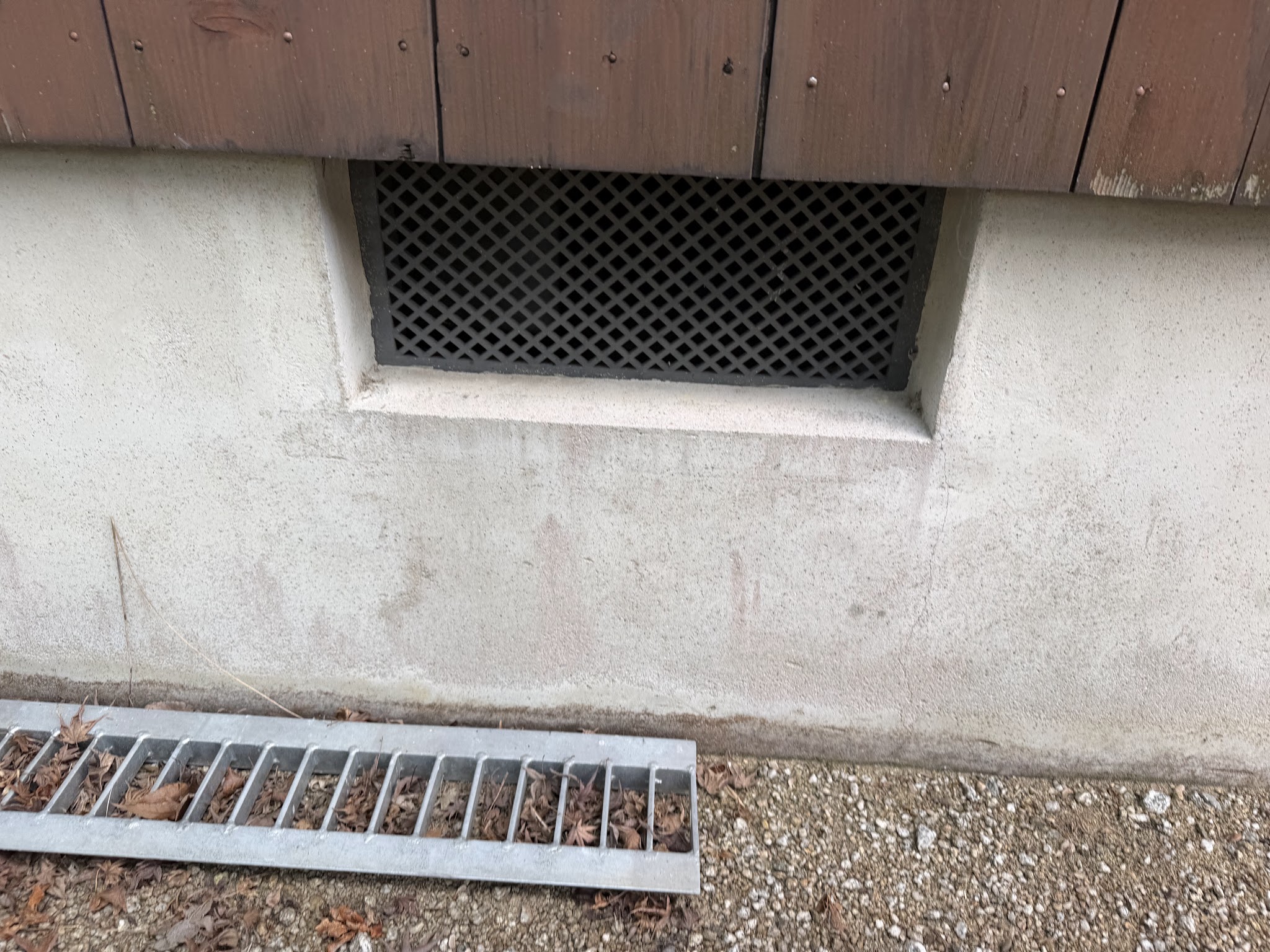 奈良県生駒郡アライグマ駆除現場の写真33