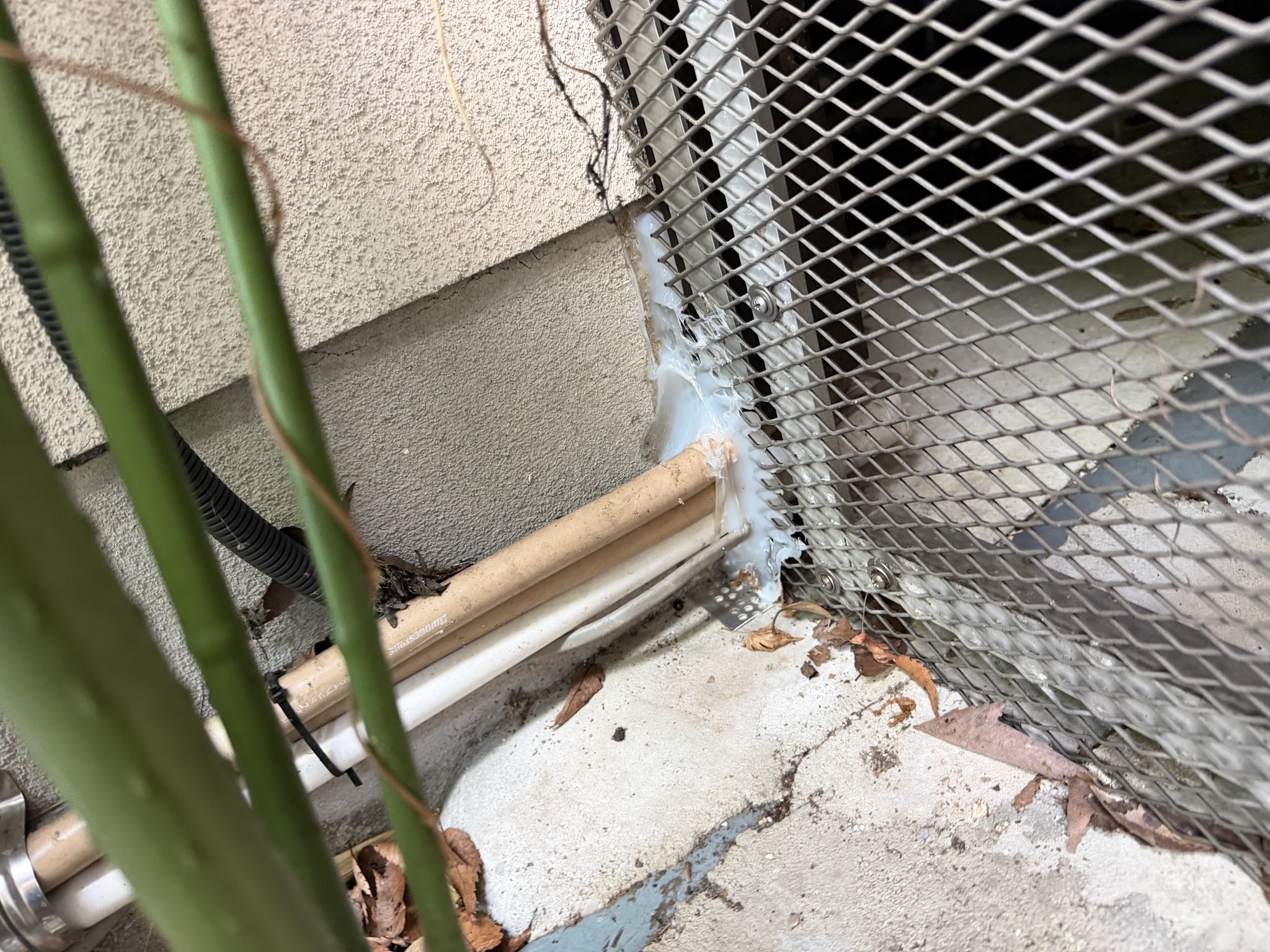 奈良県生駒郡アライグマ駆除現場の写真26