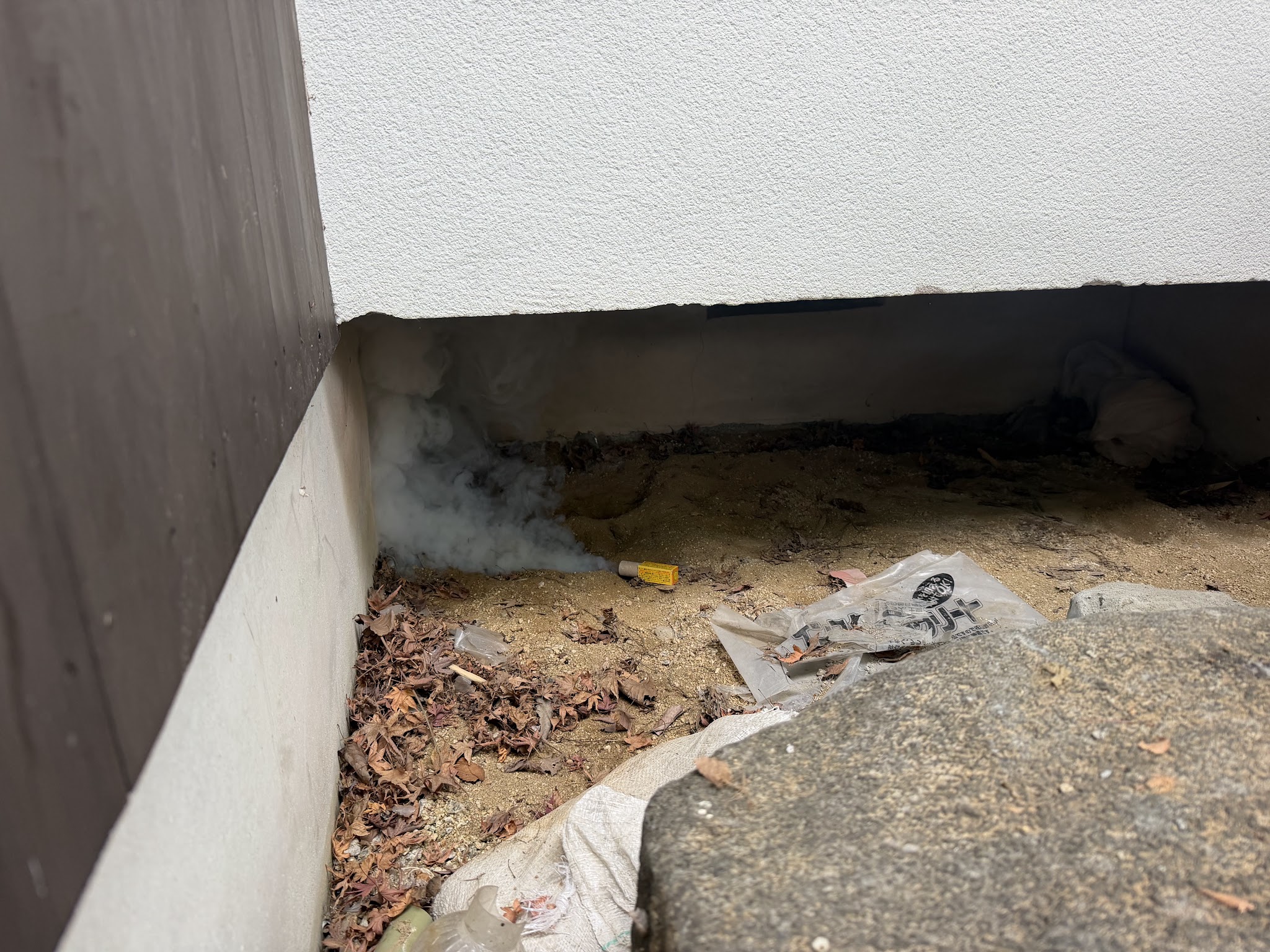 奈良県生駒郡アライグマ駆除現場の写真21