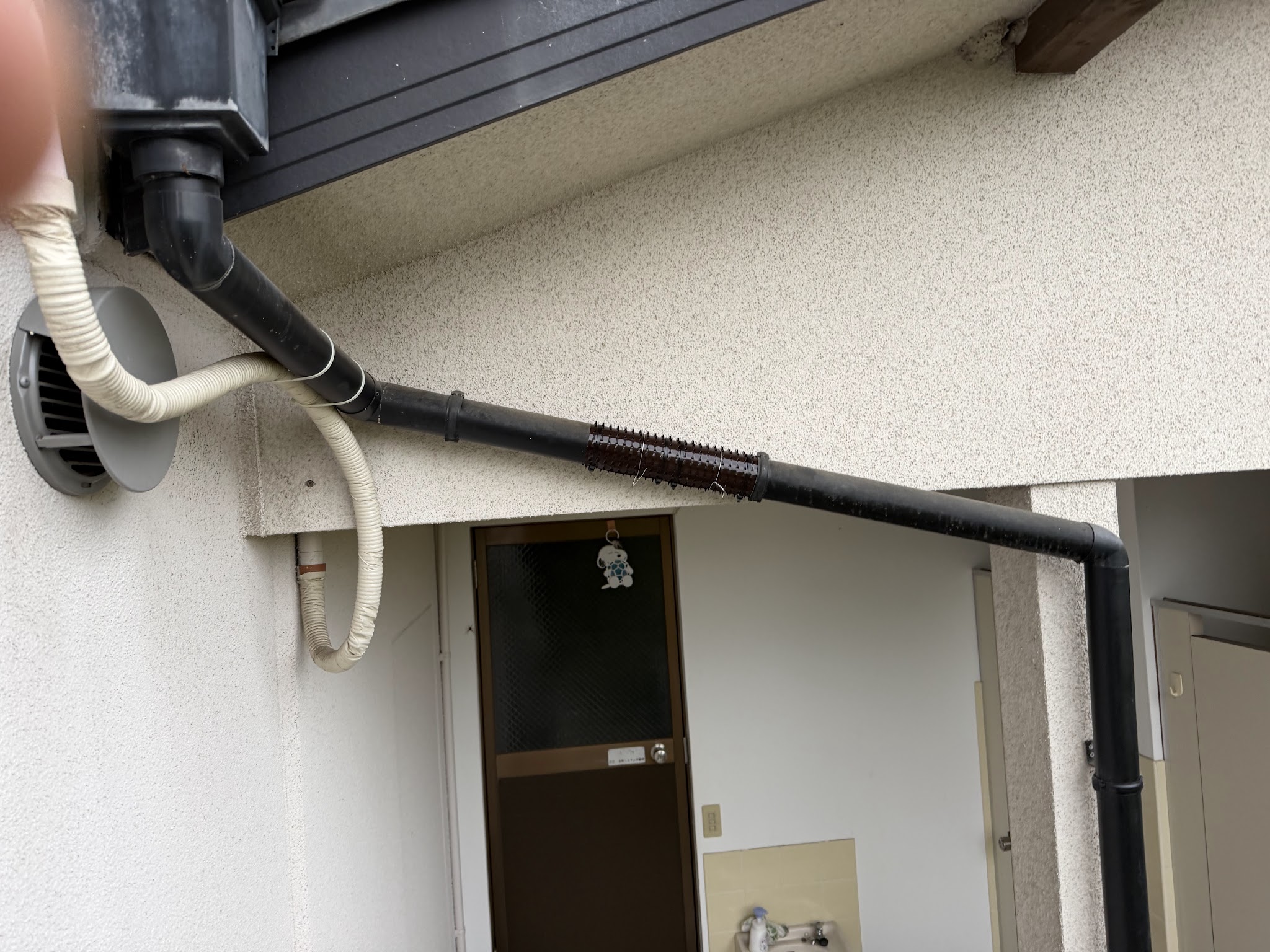 奈良県生駒郡アライグマ駆除現場の写真39