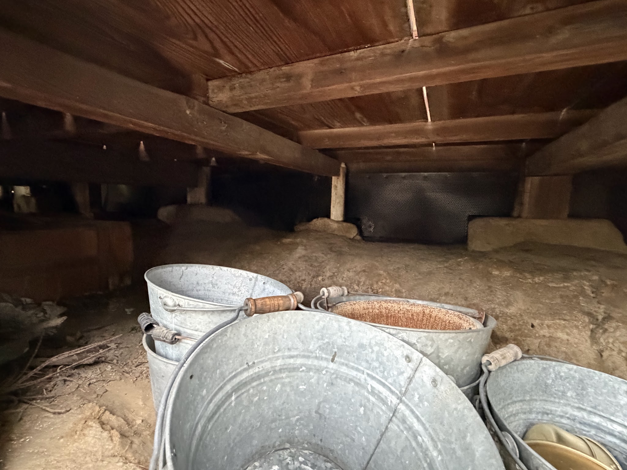 奈良県生駒郡アライグマ駆除現場の写真4