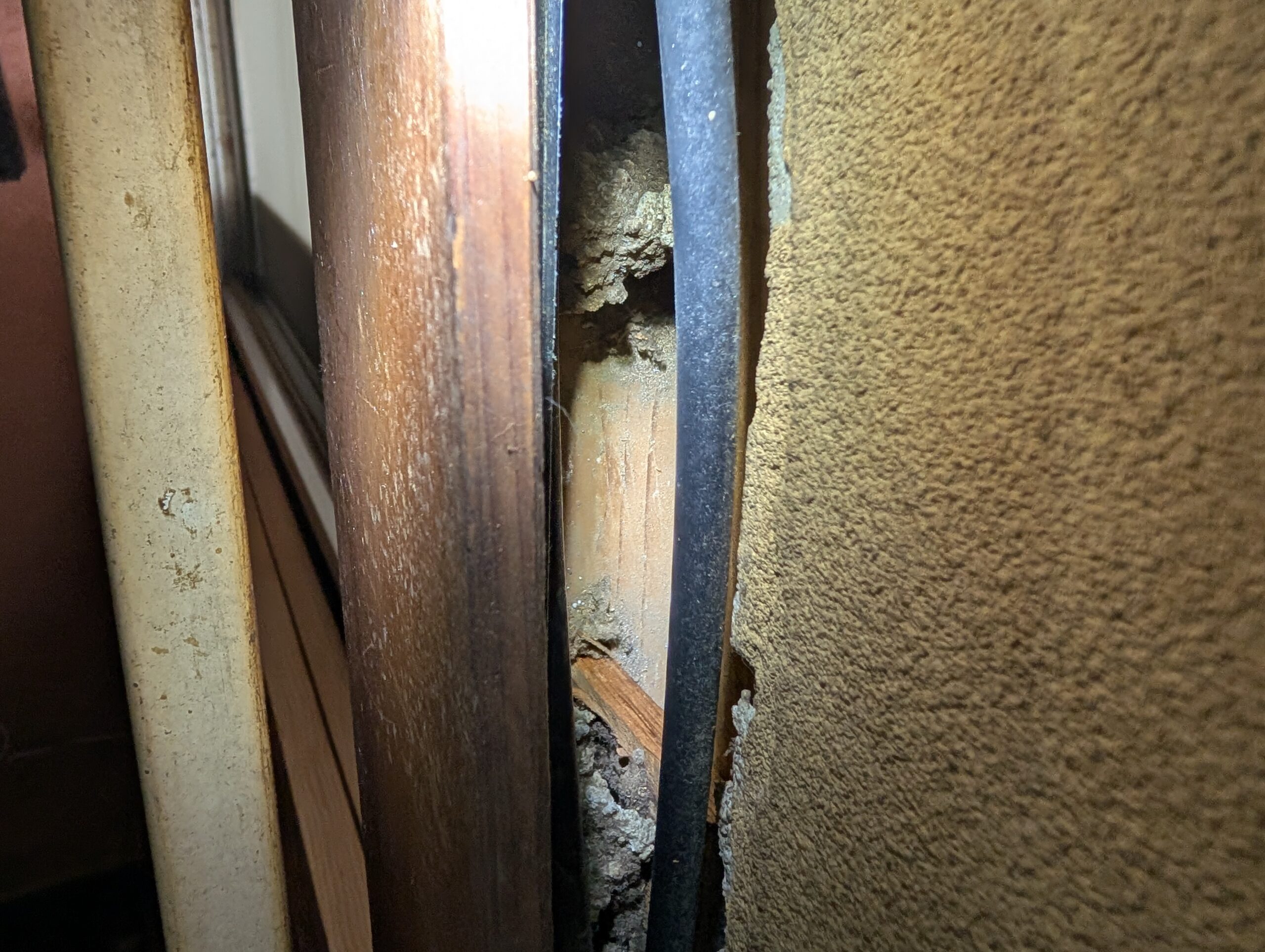 神奈川県足柄下郡害獣駆除現場の写真34