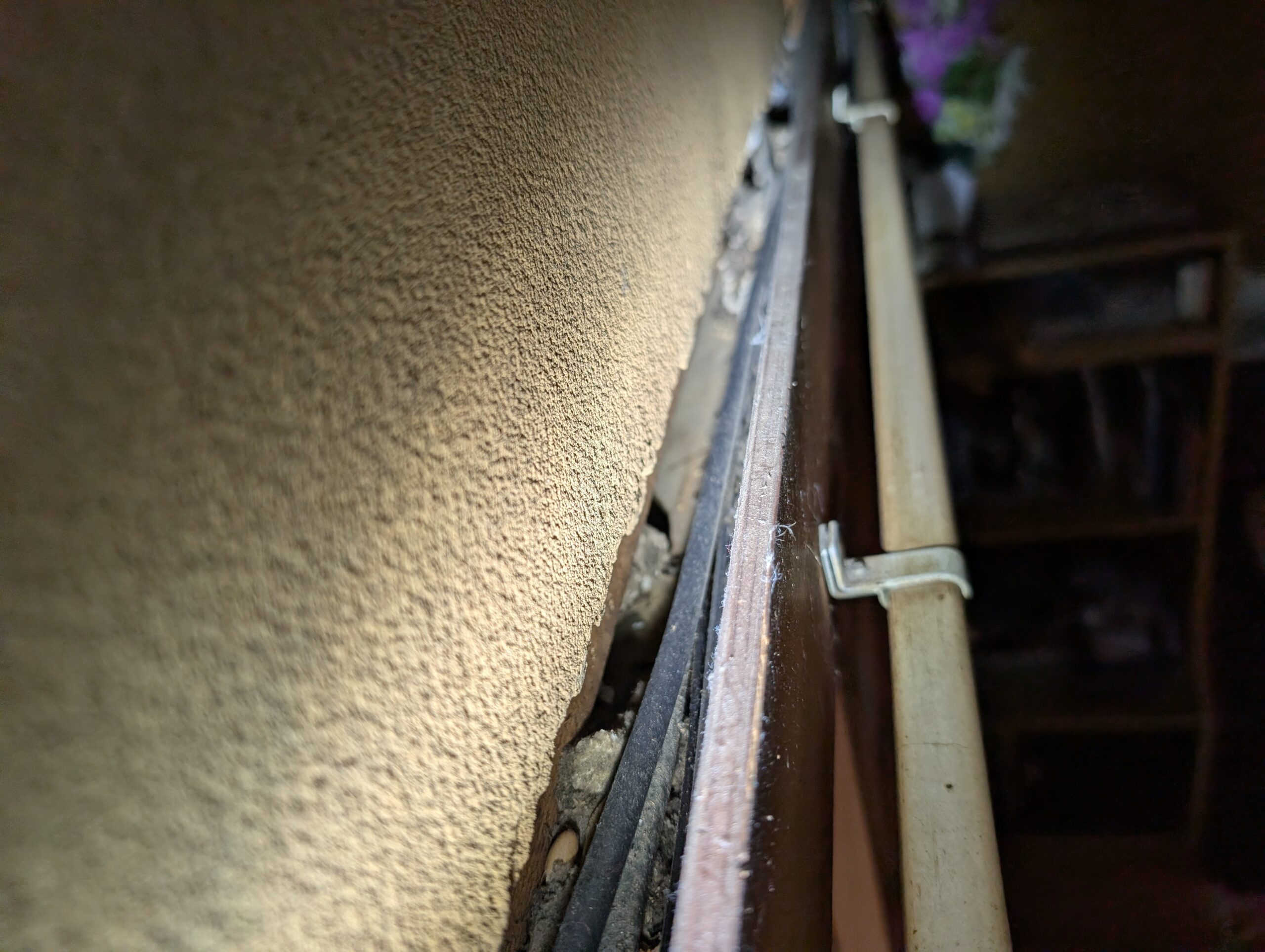 神奈川県足柄下郡害獣駆除現場の写真42