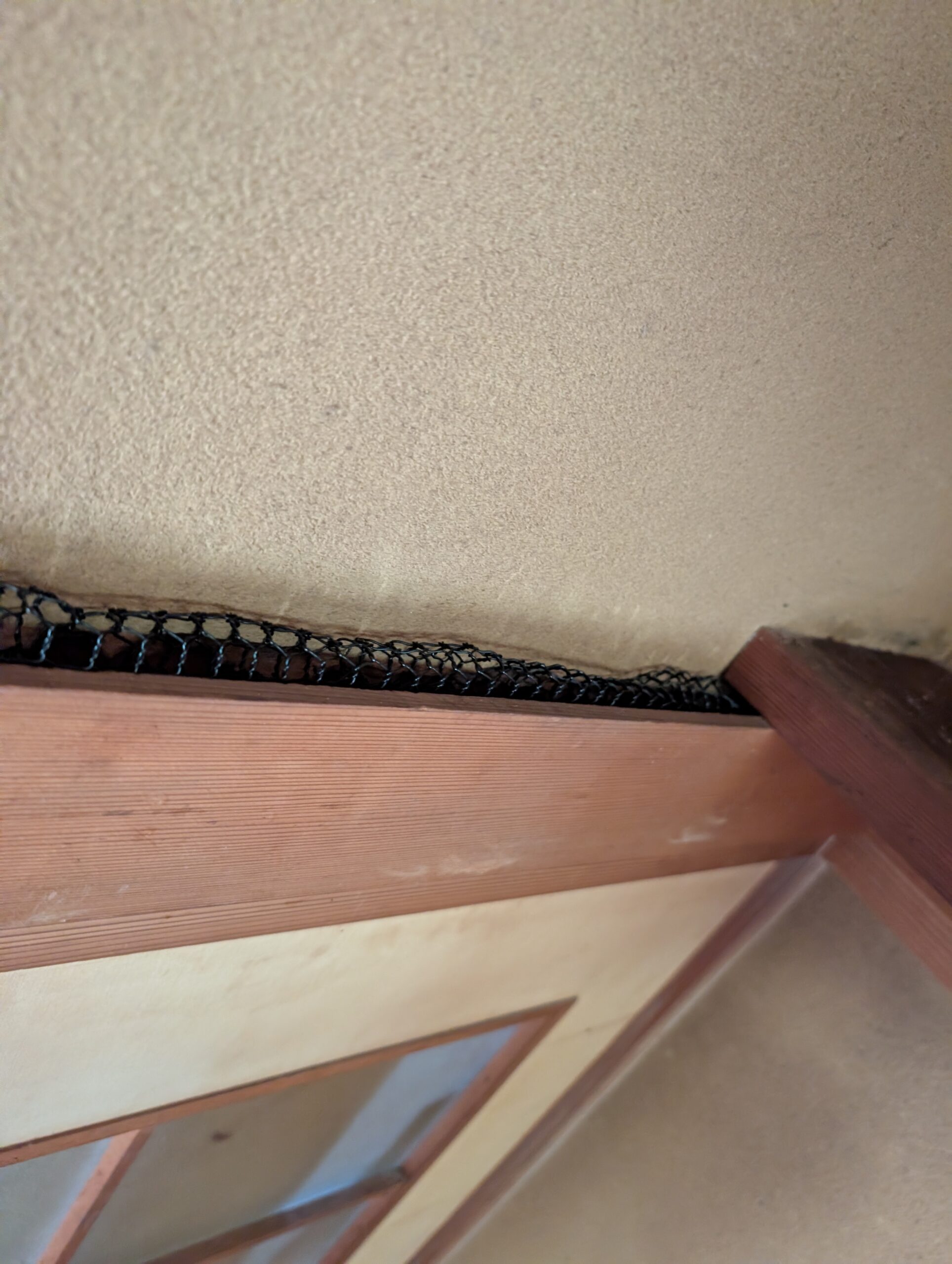 神奈川県足柄下郡害獣駆除現場の写真43