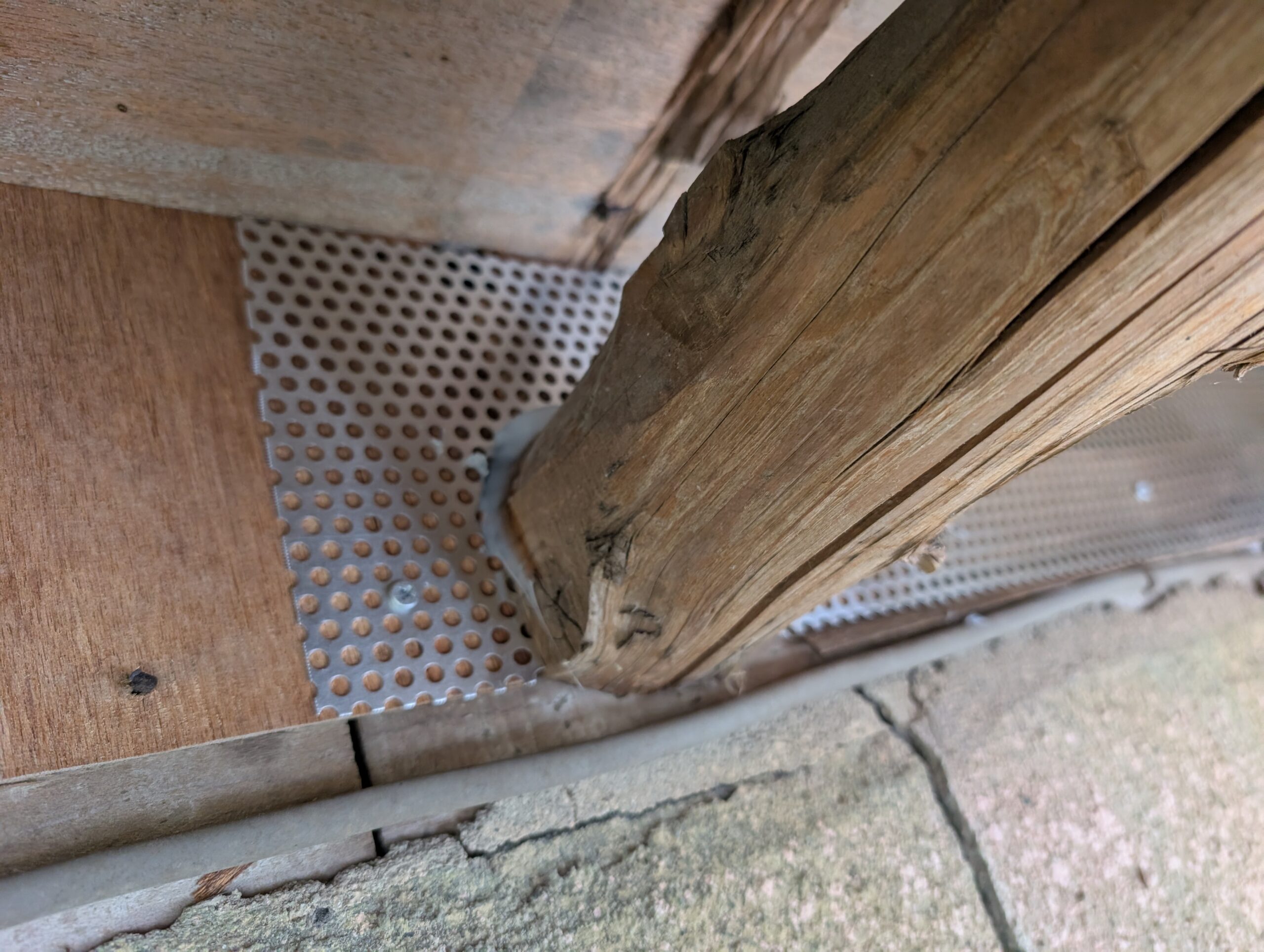神奈川県足柄下郡害獣駆除現場の写真38