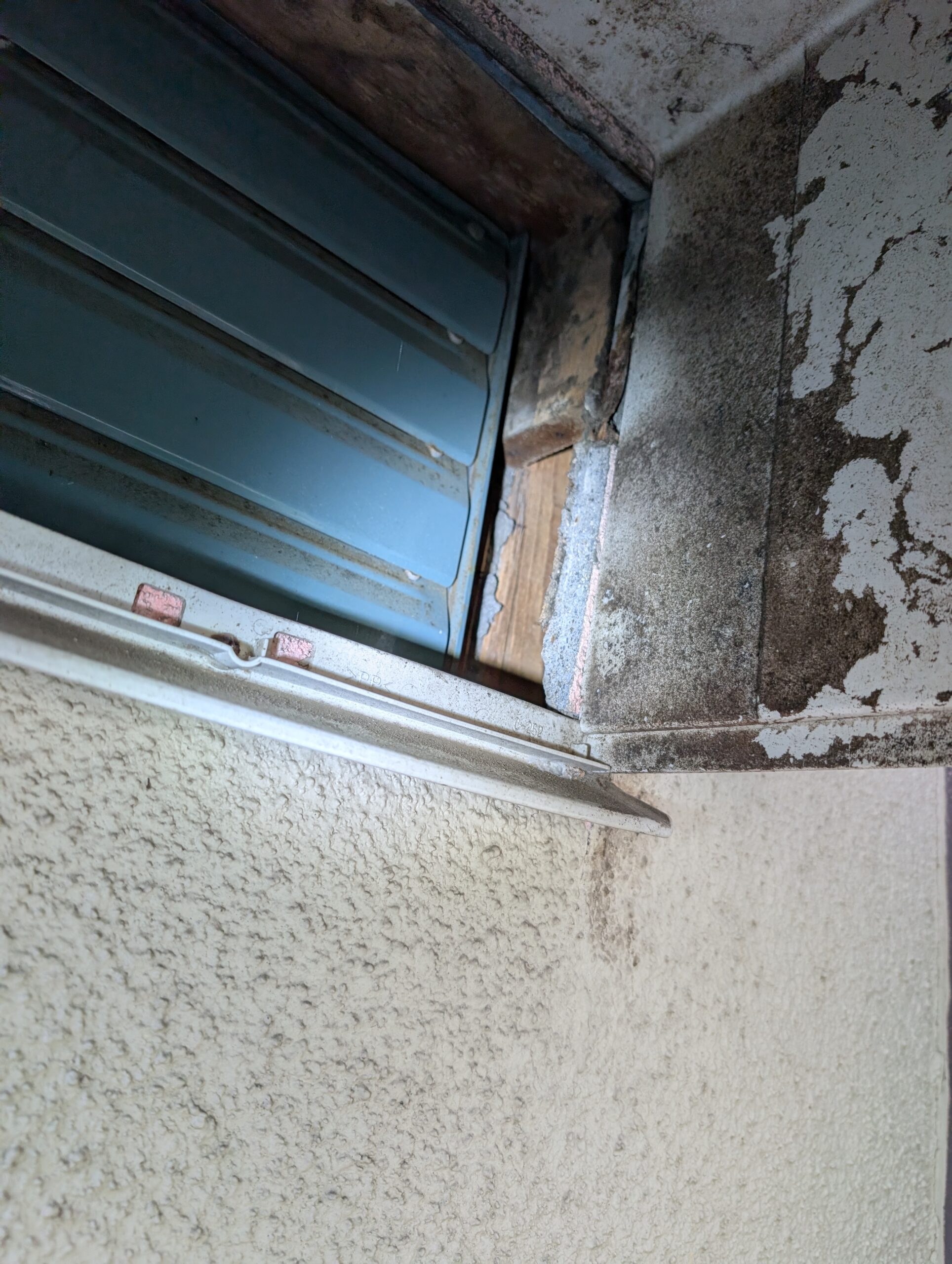神奈川県足柄下郡害獣駆除現場の写真18