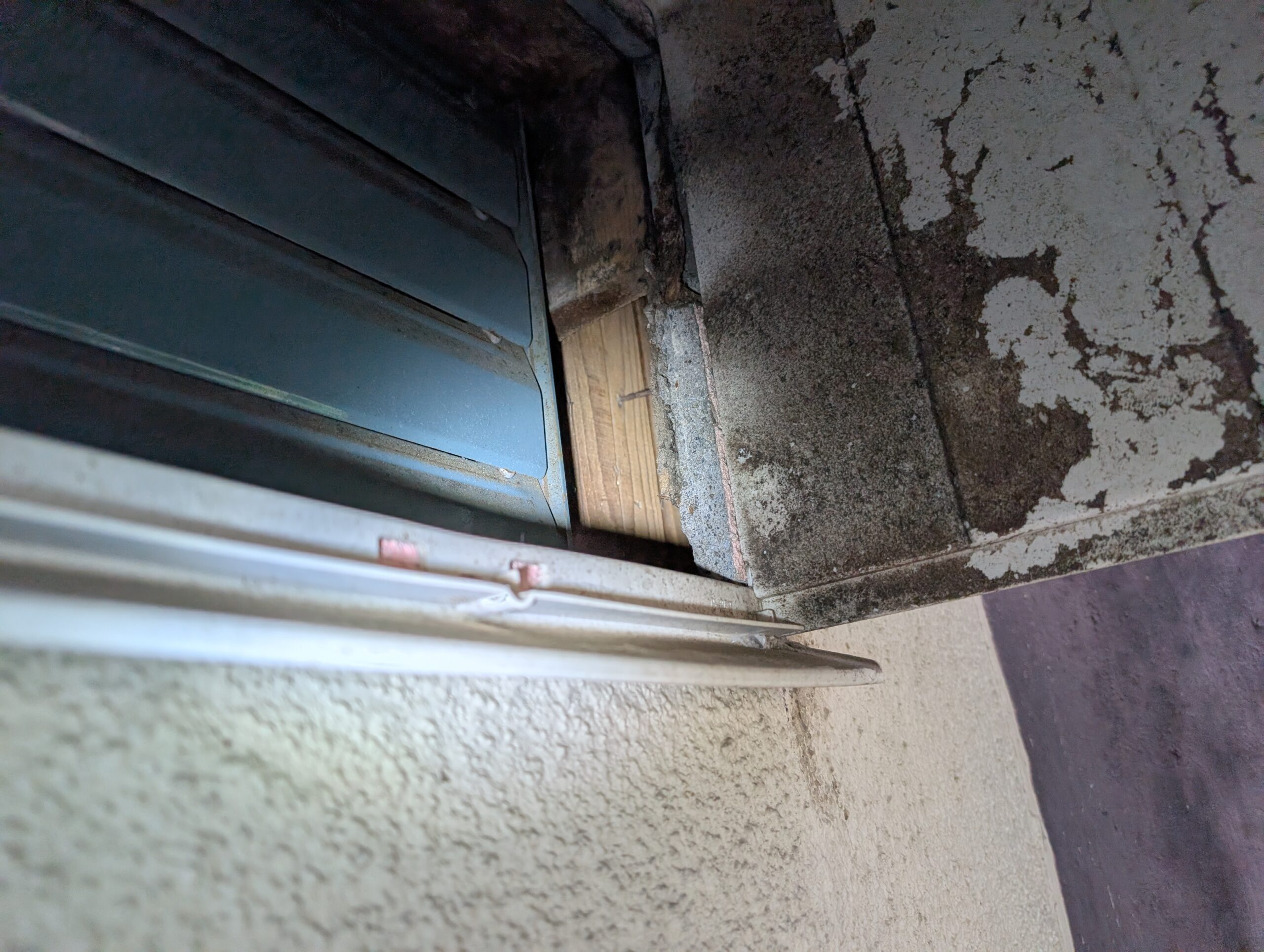 神奈川県足柄下郡害獣駆除現場の写真7