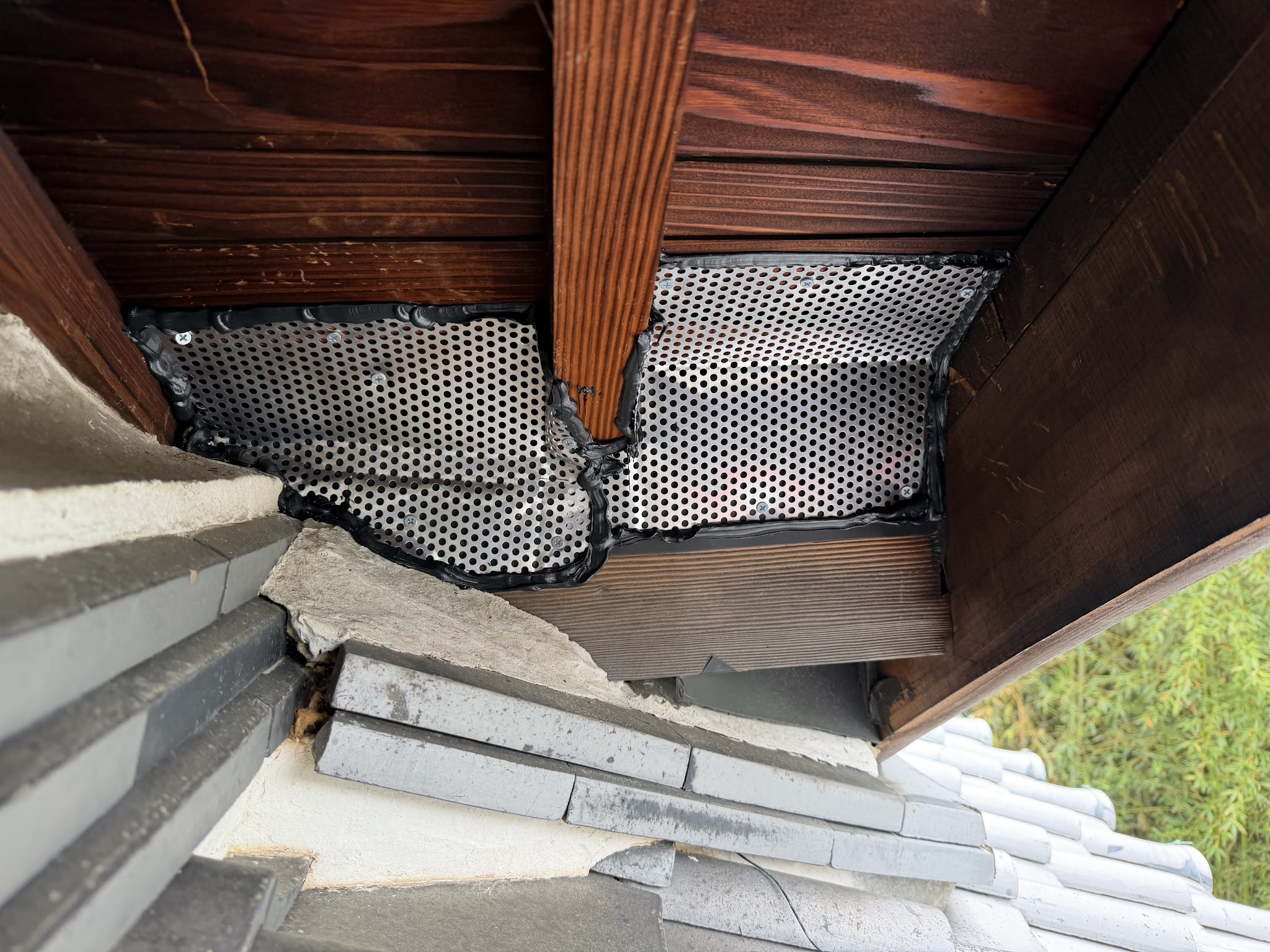 和歌山県和歌山市害獣駆除現場の写真14