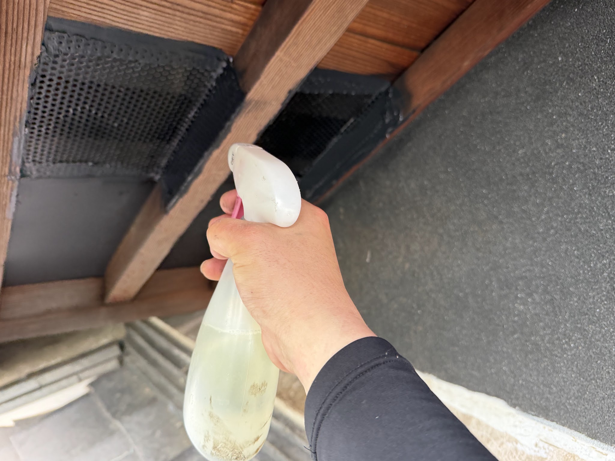和歌山県和歌山市害獣駆除現場の写真23