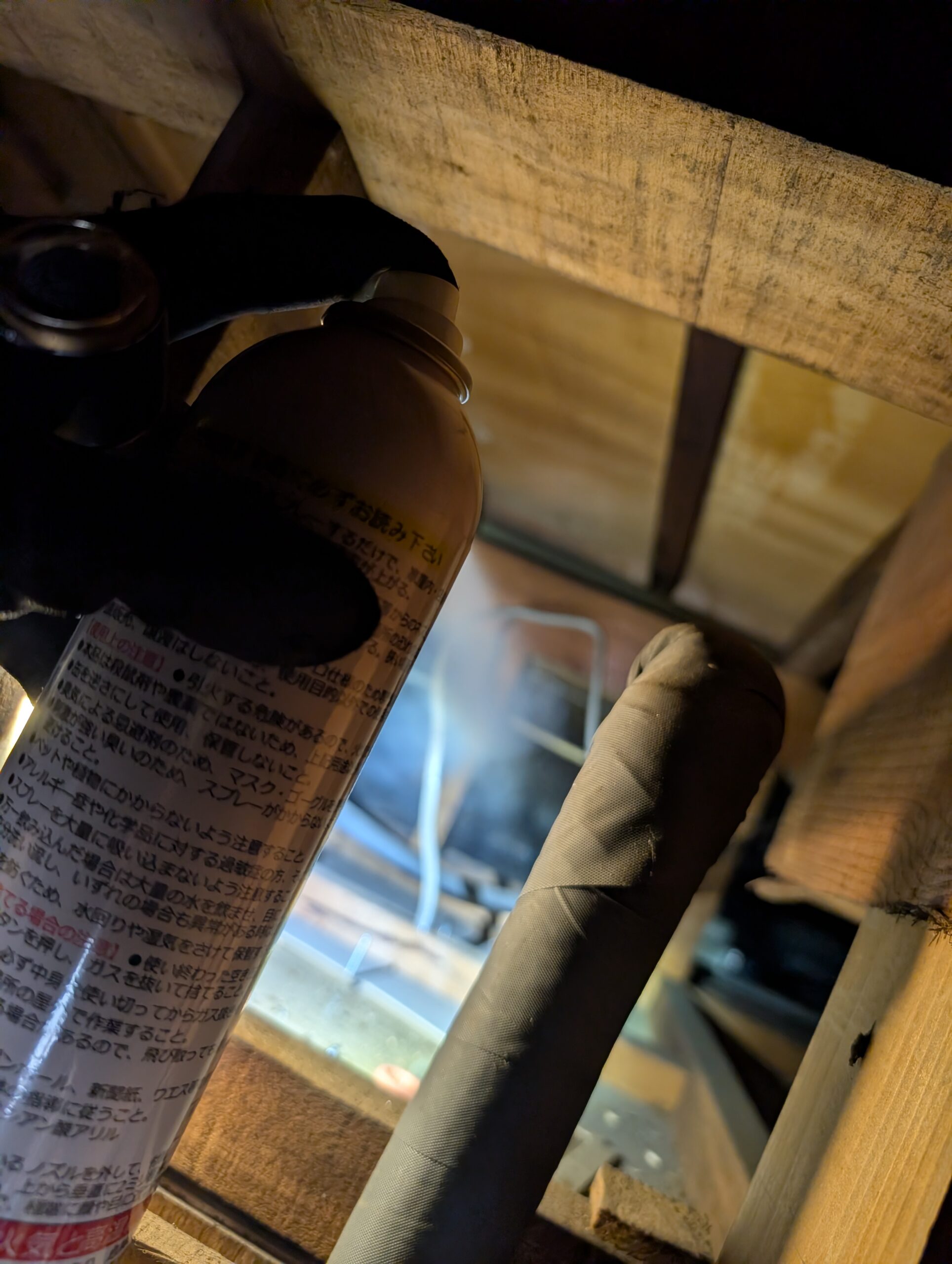 神奈川県横浜市害獣駆除現場の写真17