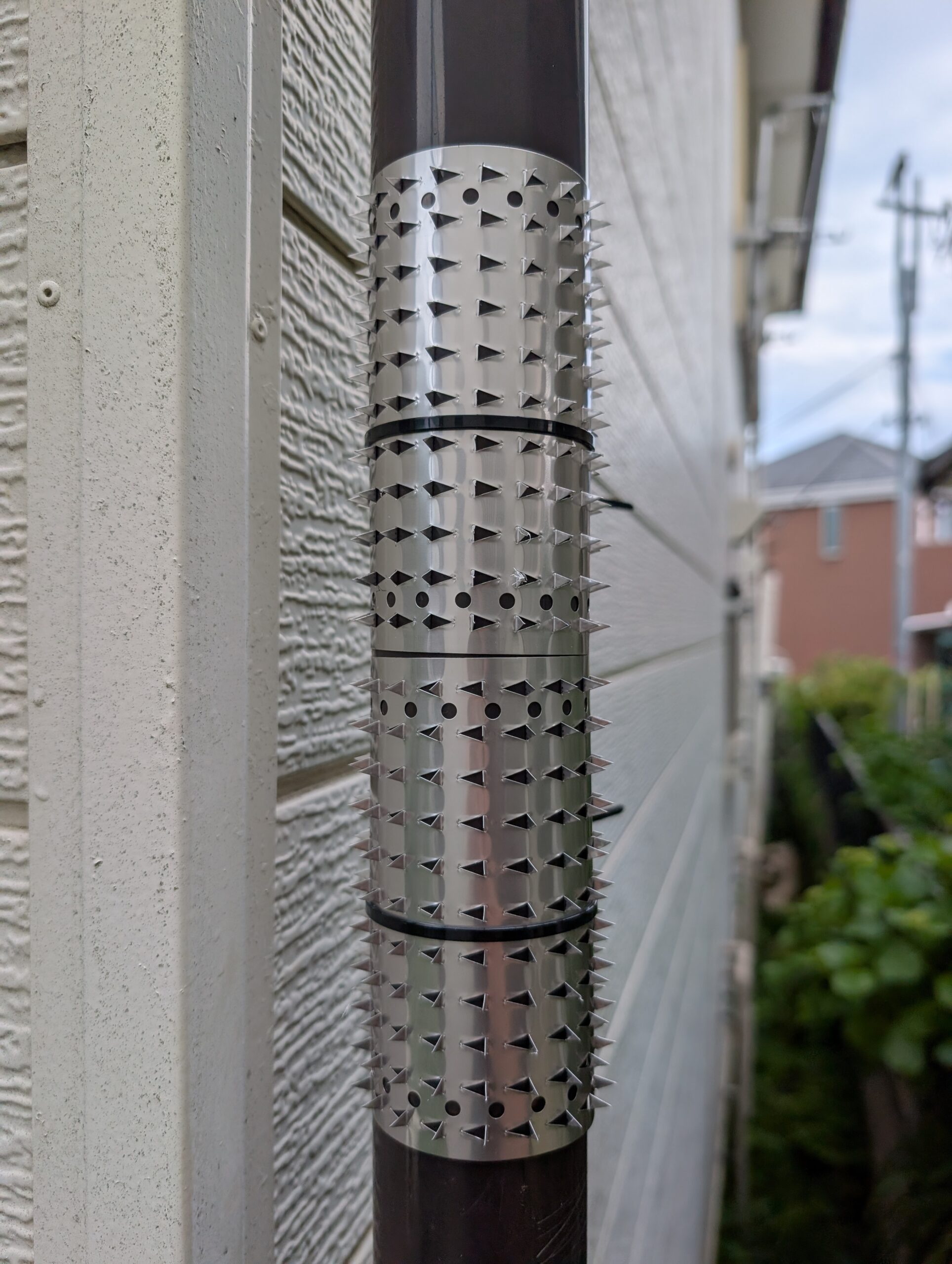 神奈川県横浜市害獣駆除現場の写真29