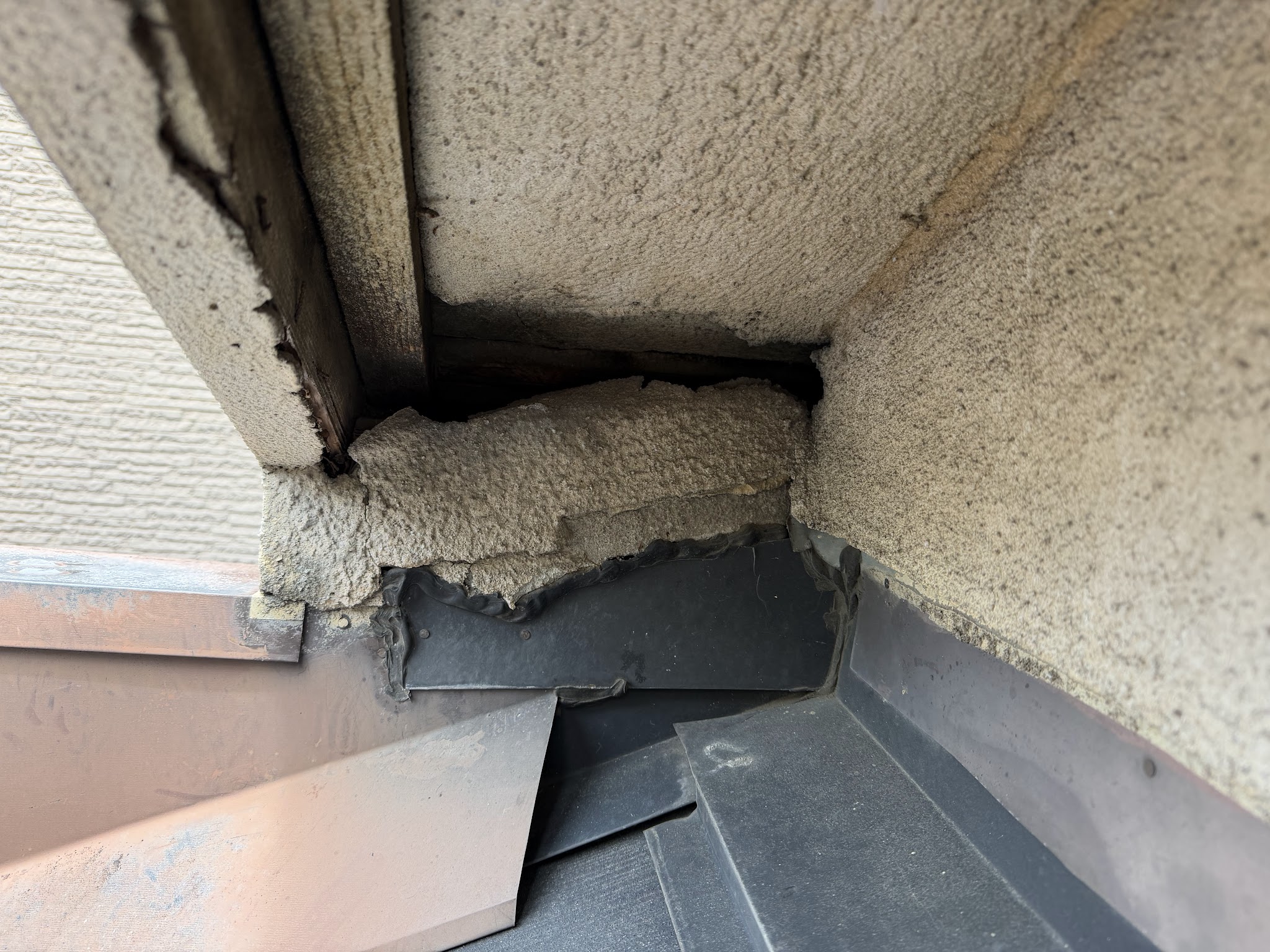 大阪府東大阪市害獣駆除現場の写真45