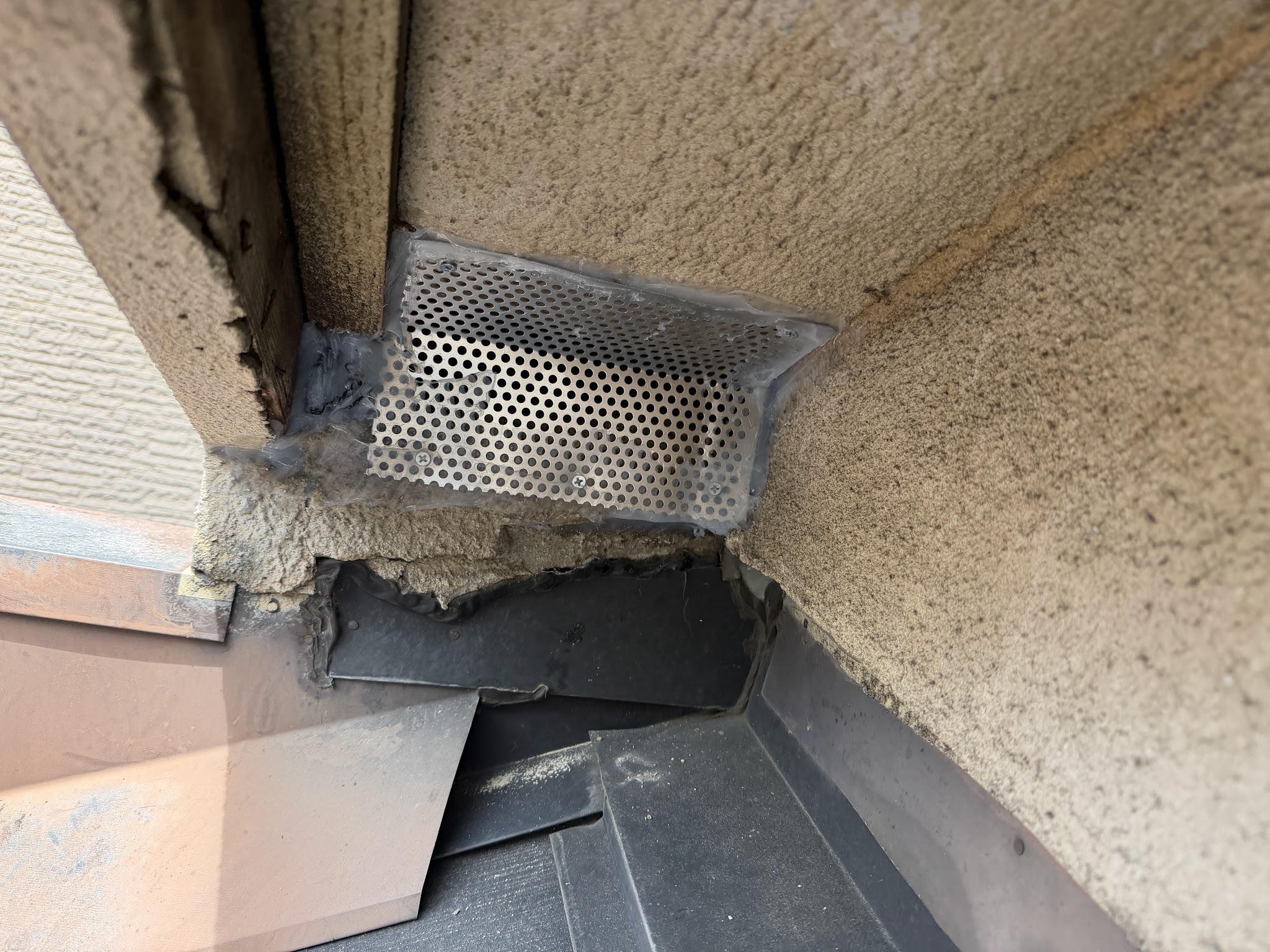 大阪府東大阪市害獣駆除現場の写真47