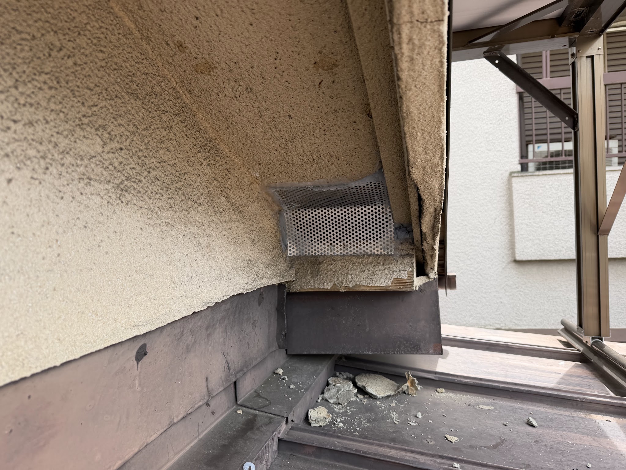 大阪府東大阪市害獣駆除現場の写真49