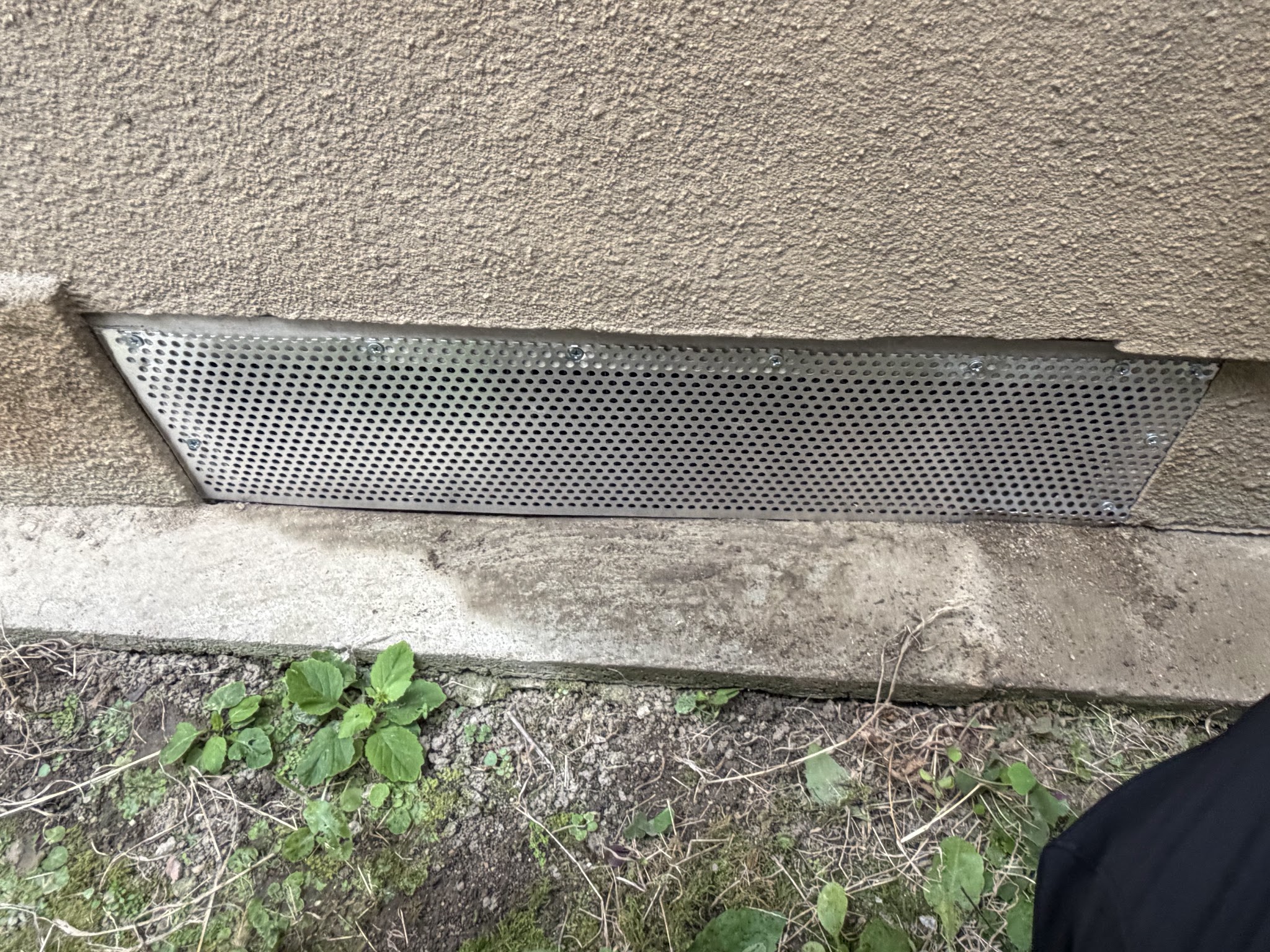 大阪府東大阪市害獣駆除現場の写真9