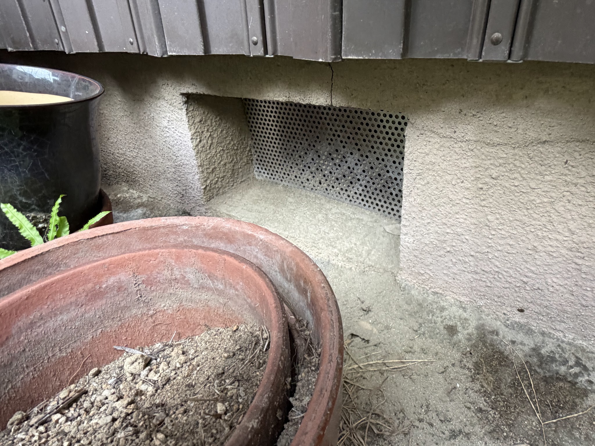 大阪府東大阪市害獣駆除現場の写真16